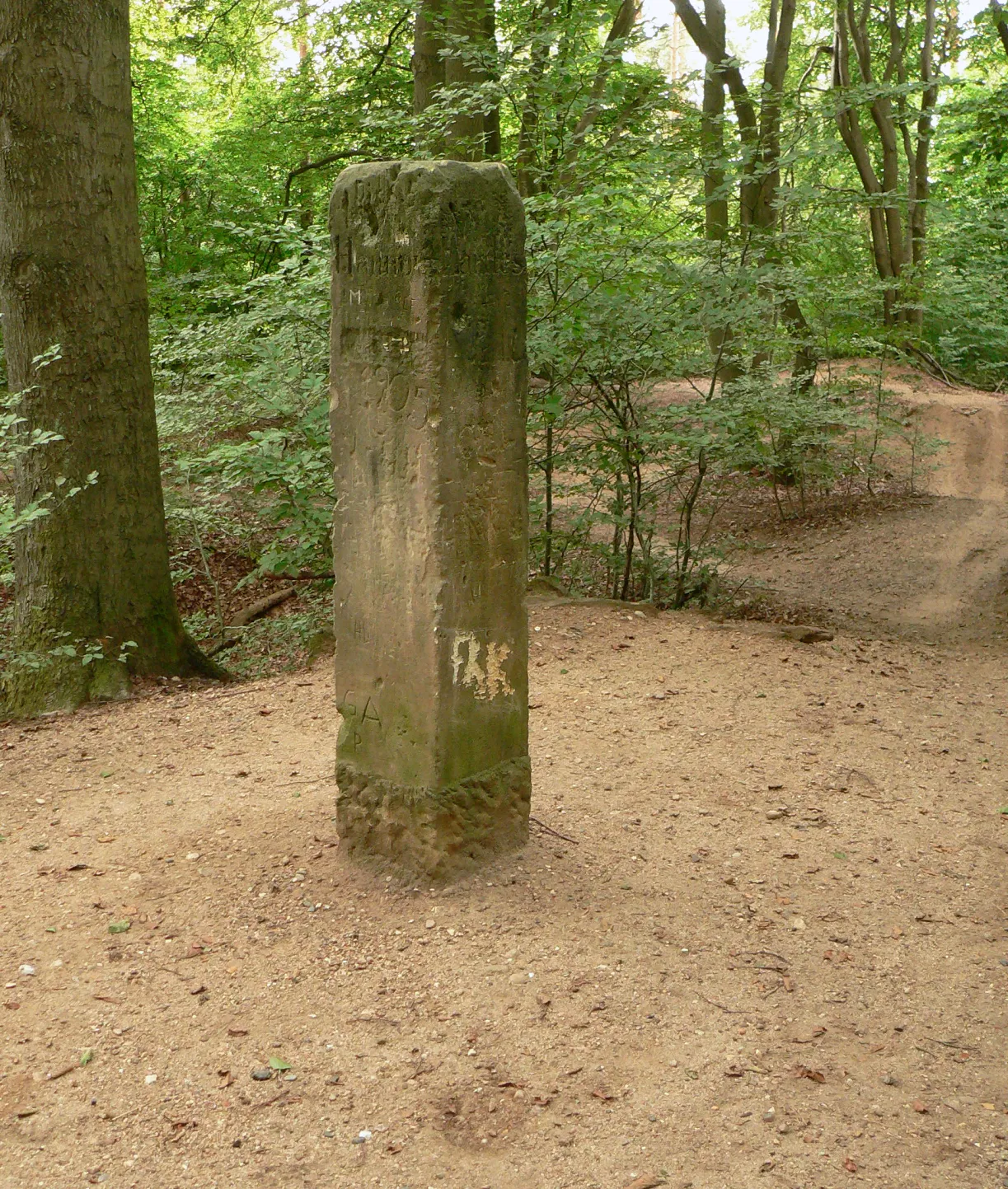 Photo showing: Gaußstein Brelinger Berg