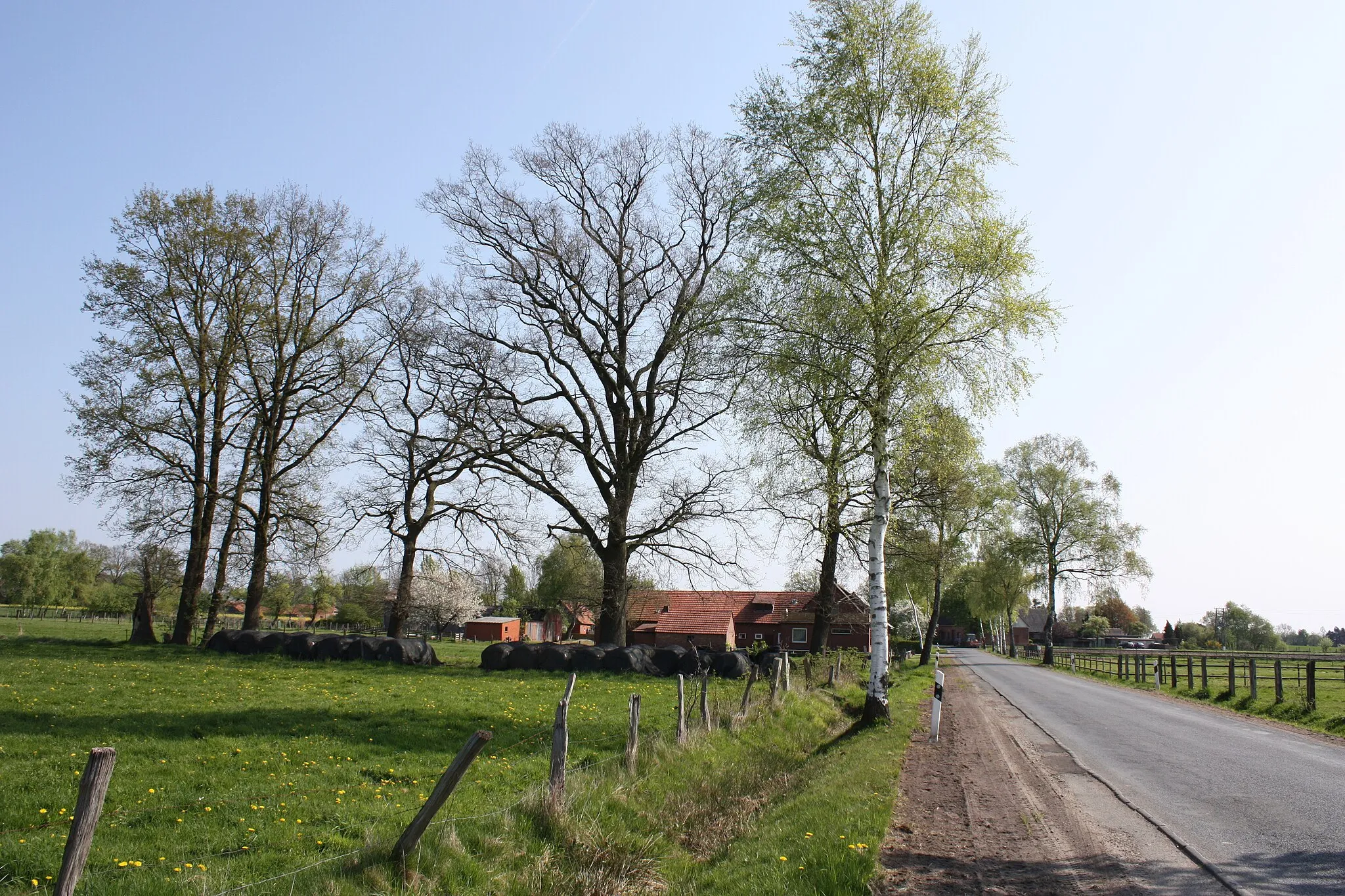 Photo showing: Ochtmannien, Süstedt, Samtgemeinde Bruchhausen-Vilsen, Landkreis Diepholz, Niedersachsen, Deutschland