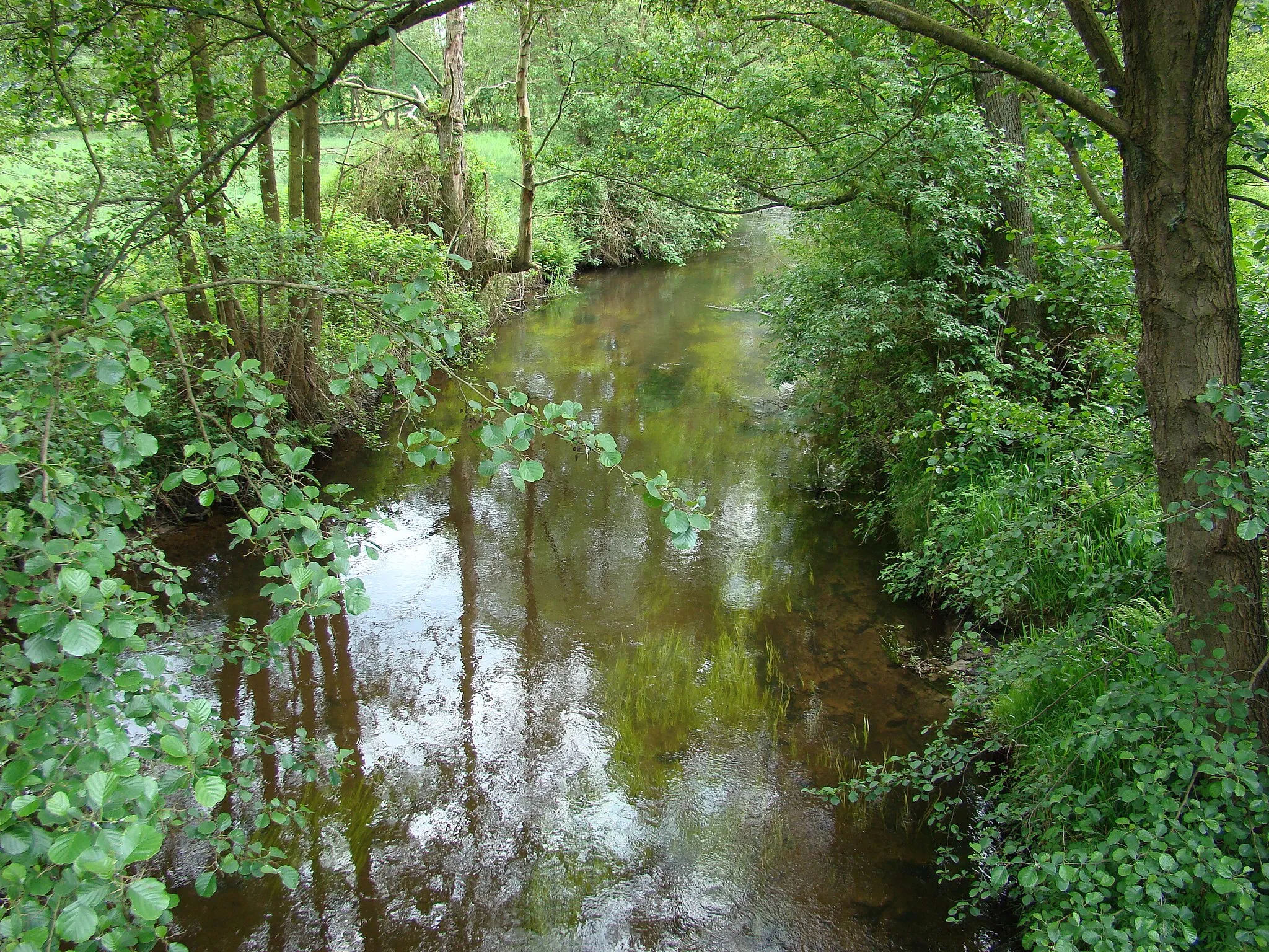 Photo showing: Die Örtze in Poitzen