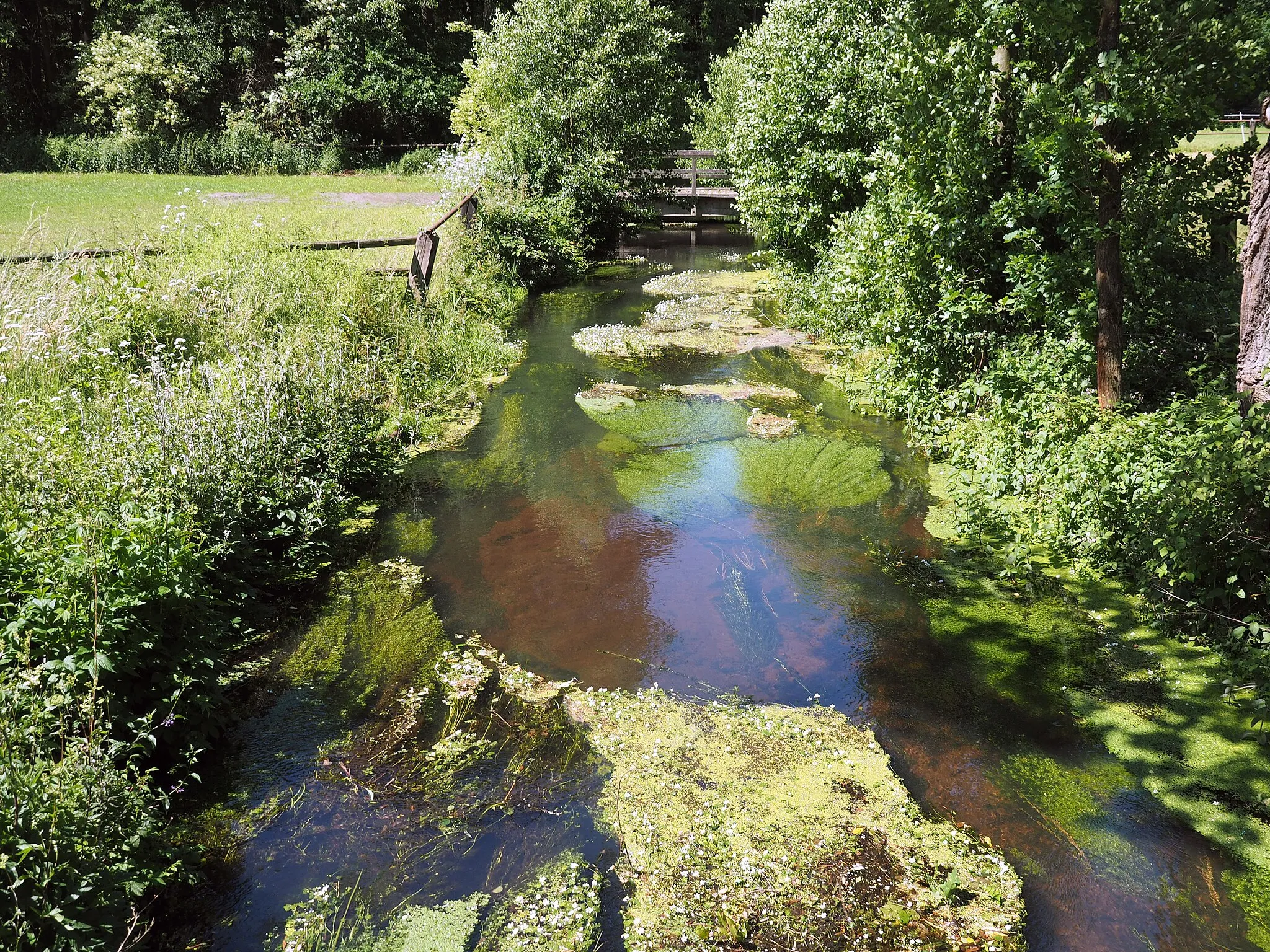 Photo showing: Kleine Örtze bei Trauen (Kreutzen), Niedersachsen, Germany