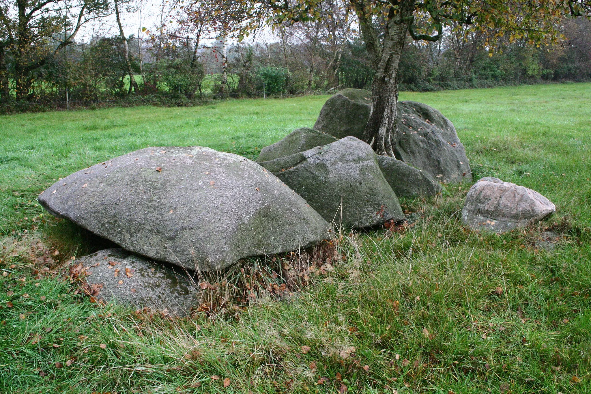 Photo showing: Megalithic tomb Wittstedt