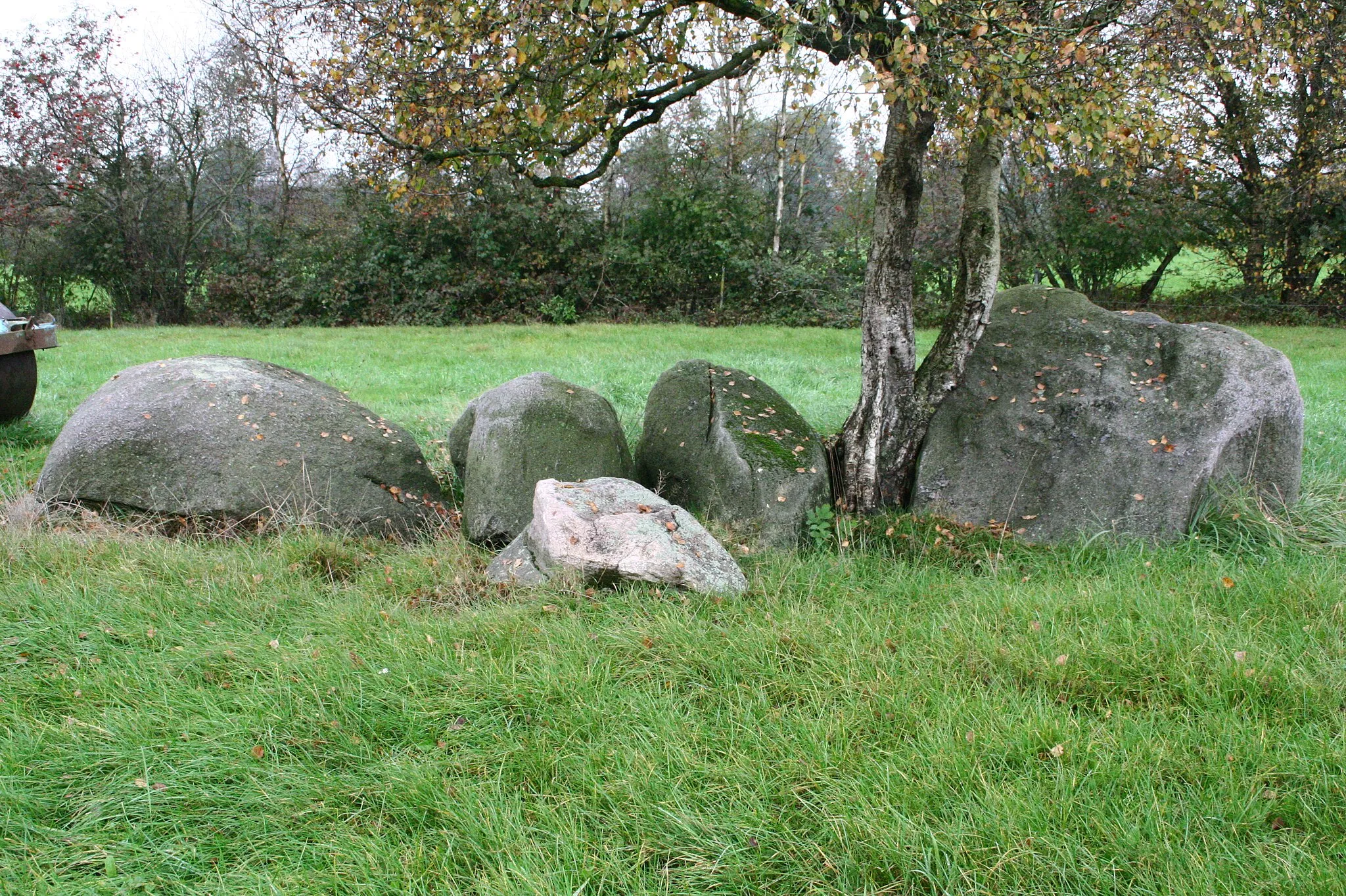 Photo showing: Megalithic tomb Wittstedt