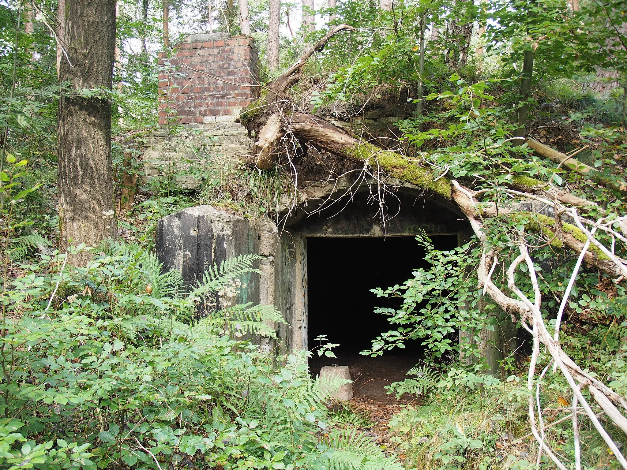 Photo showing: Eingang zu einem der nicht gesprengten großen Bunker des ehemaligen Marinesperrzeugamtes Starkshorn