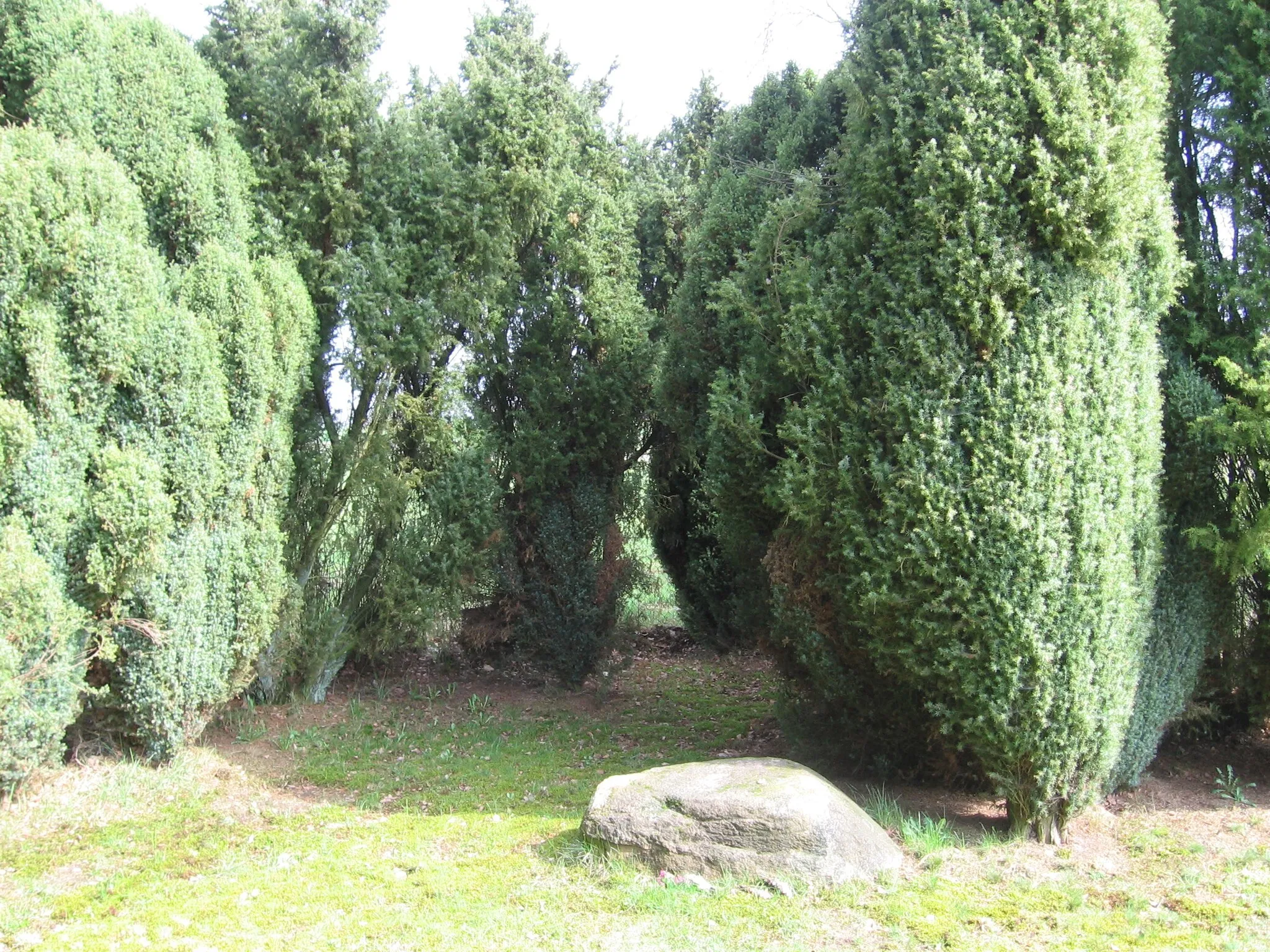 Photo showing: Grave of the German writer Arno Schmidt in the garden of his house in Bargfeld.