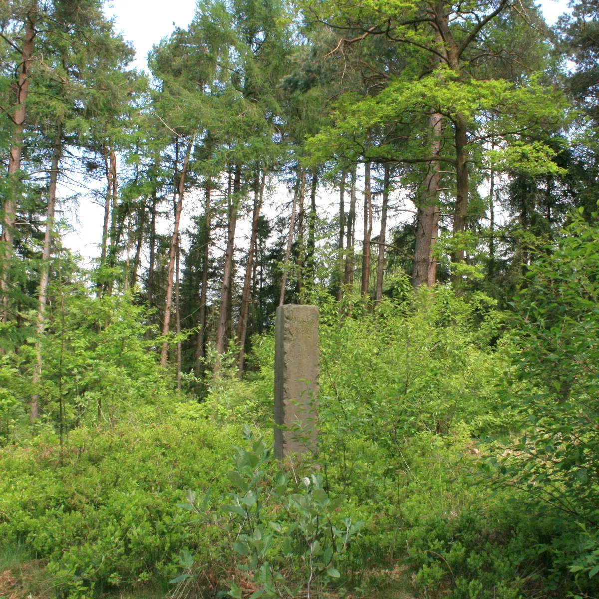 Photo showing: This stone pillar in Garlstedt was erected in 1828 for the geodetic survey of the Kingdom of Hanover by Carl Friedrich Gauss. The four sides, near the top have inscriptions "Königl. / Hannov. /. Landes / Vermessg 1828".