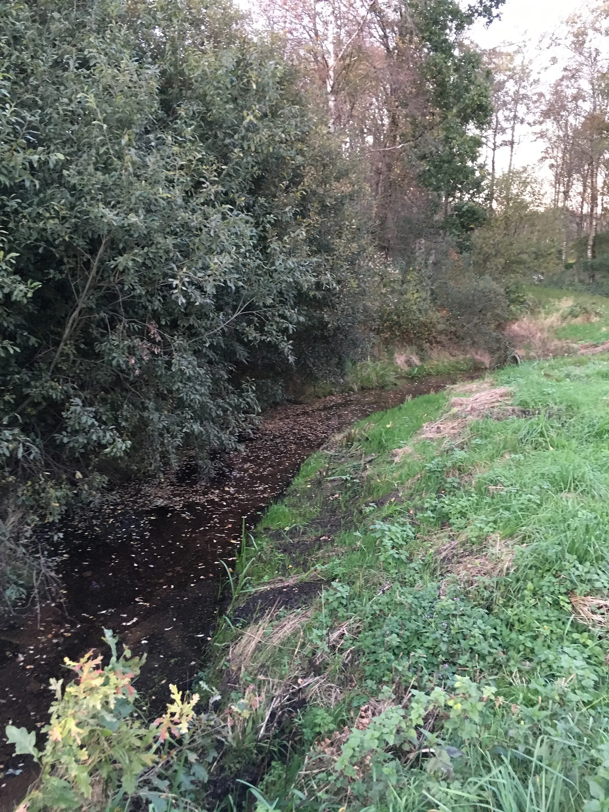 Photo showing: Graven in de Neegd von Ankloh un den Beerser See