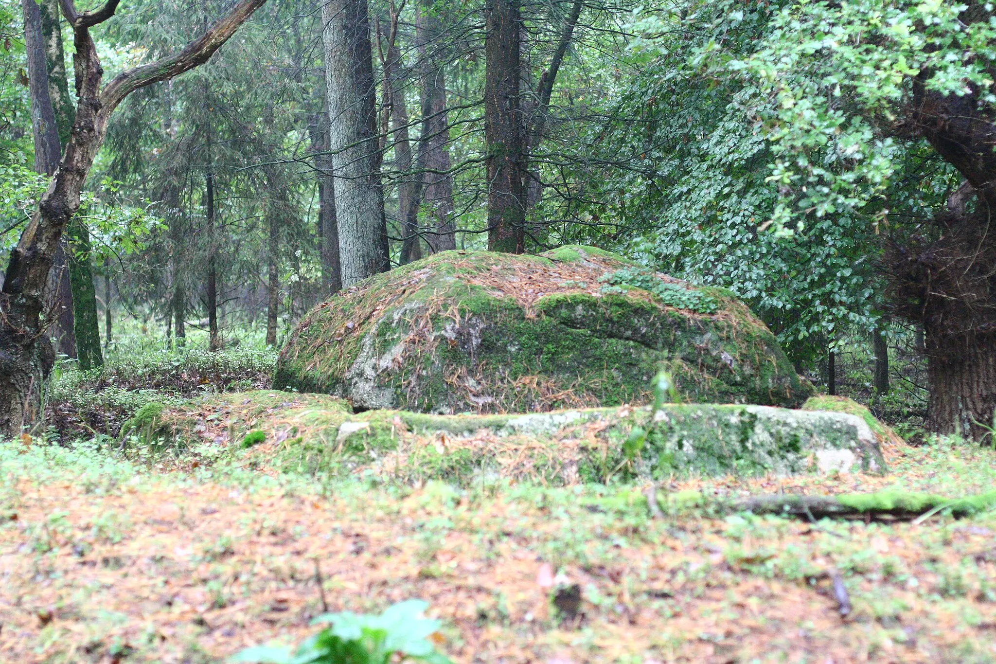 Photo showing: Megalithic tomb Heine 2