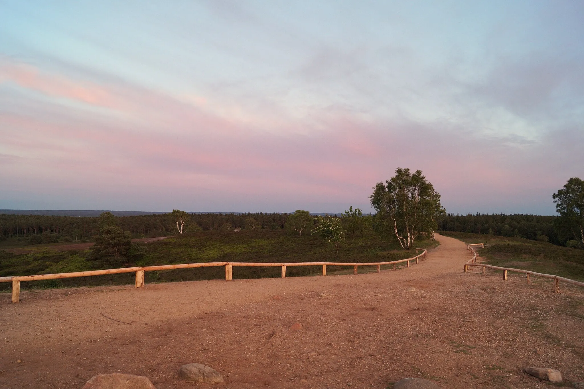 Photo showing: Auf der Spitze des Brunsbergs beim Sonnenuntergang. Zu sehen ist der Weg auf dem Brunsberg in die Richtung Holm-Seppensen, sowie die Wegbegrenzung, die Heidekrautgewächse und die Wälder. Im Naturschutzgebiet Brunsberg (Lohberge).