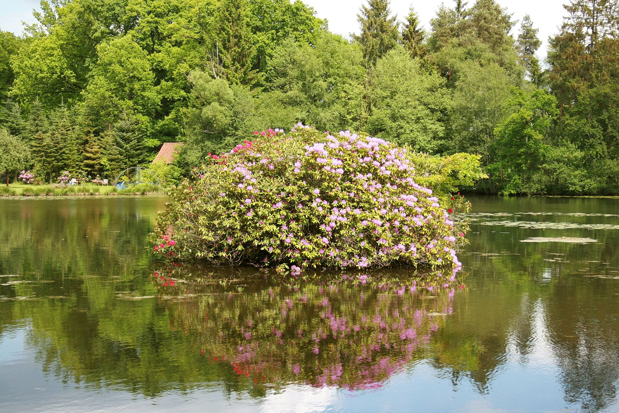 Photo showing: Mühlenteich der Fintau in Schneverdingen-Wesseloh/Eggersmühlen