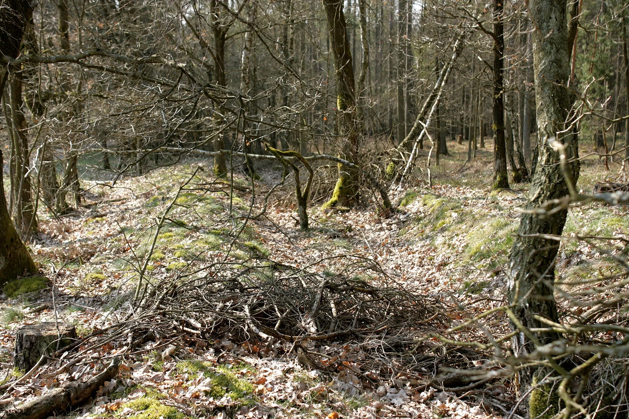 Photo showing: Wegspuren am Kahlen Berg im Ortsteil Eitzen II von Hanstedt (Landkreis Uelzen)