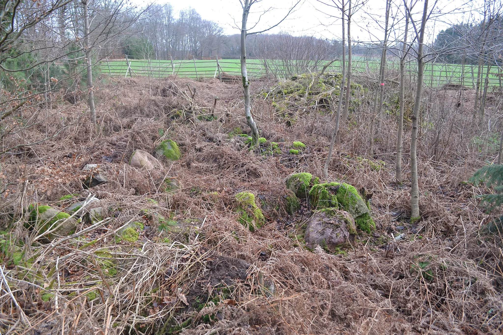 Photo showing: Megalithic chambered tomb in Diersbüttel (Grab 1), Landkreis Lüneburg, Lower Saxony, Germany.