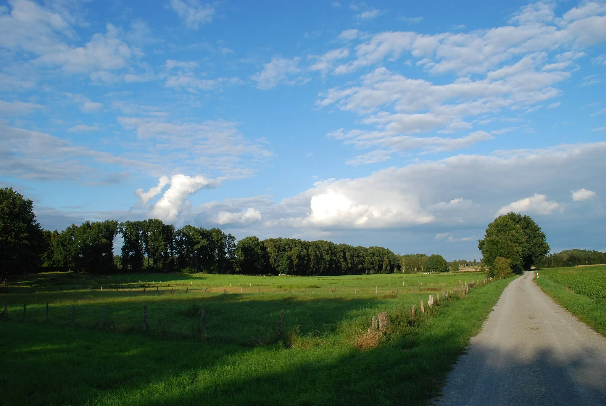 Photo showing: Räber - Wanderweg Nordrand 03