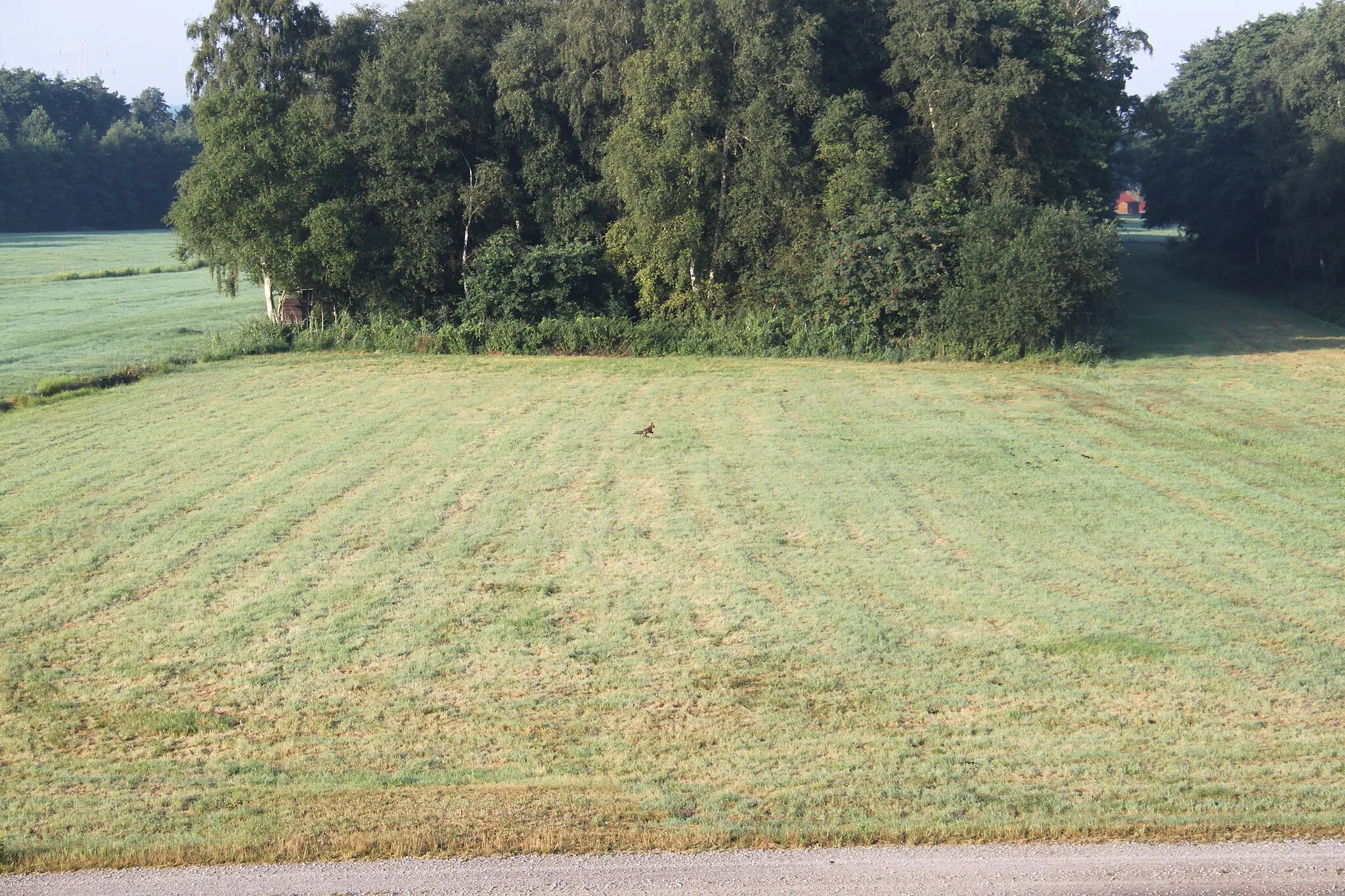 Photo showing: vom Vorbelastungsdamm der A26 aus fotografiert