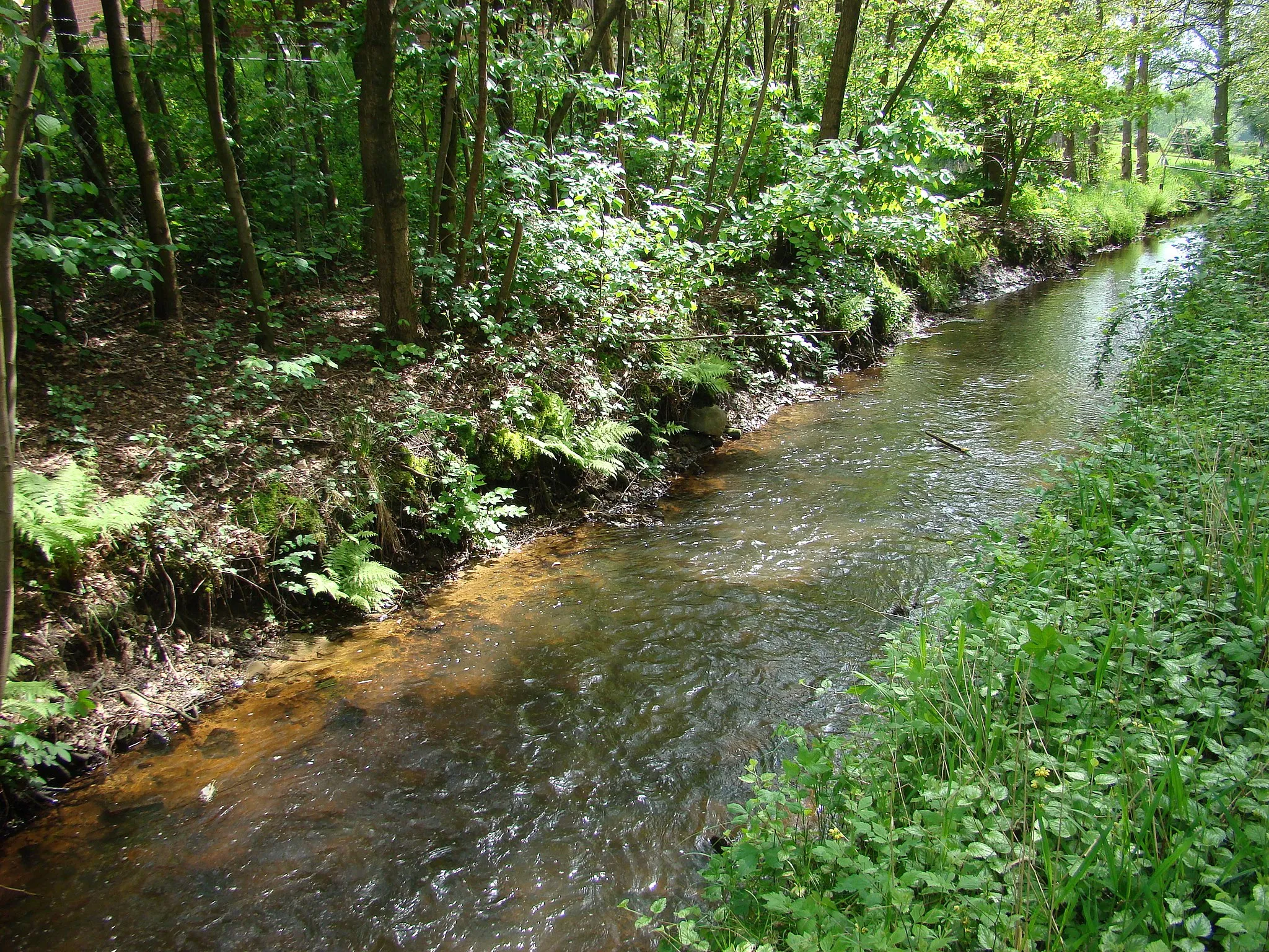 Photo showing: The River Meiße near Bleckmar, Lower Saxony, Germany.