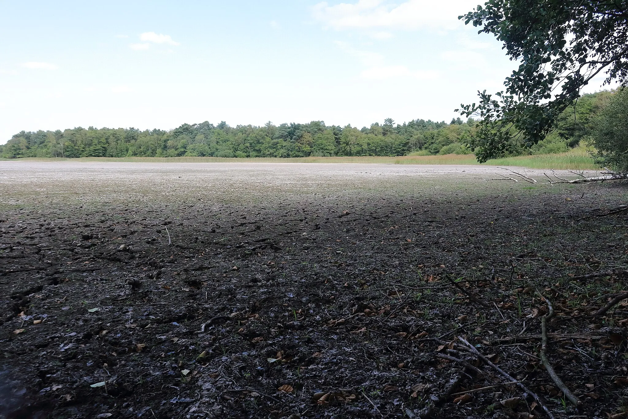 Photo showing: Im Hochsommer 2018 durch langandauernde Trockenheit ausgetrockneter „großer See“, ca 20 ha groß, im Landschaftsschutzgebiet „LSG CE-S 00001 Entenfang Boye“ und FFH-Gebiet „3226-331 Entenfang Boye und Bruchbach“ im Landkreis Celle