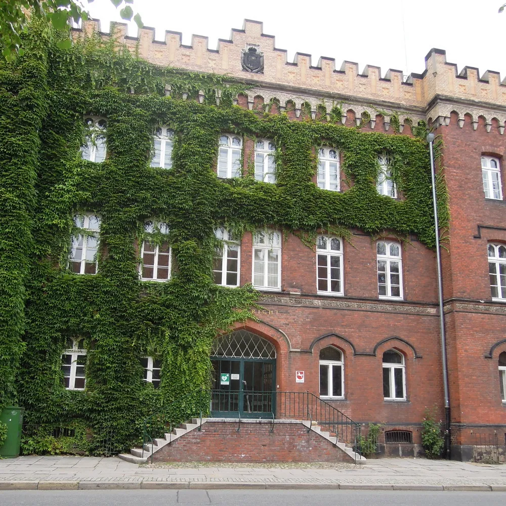 Photo showing: Stolpersteinlage Lüneburg Am Ochsenmarkt 3