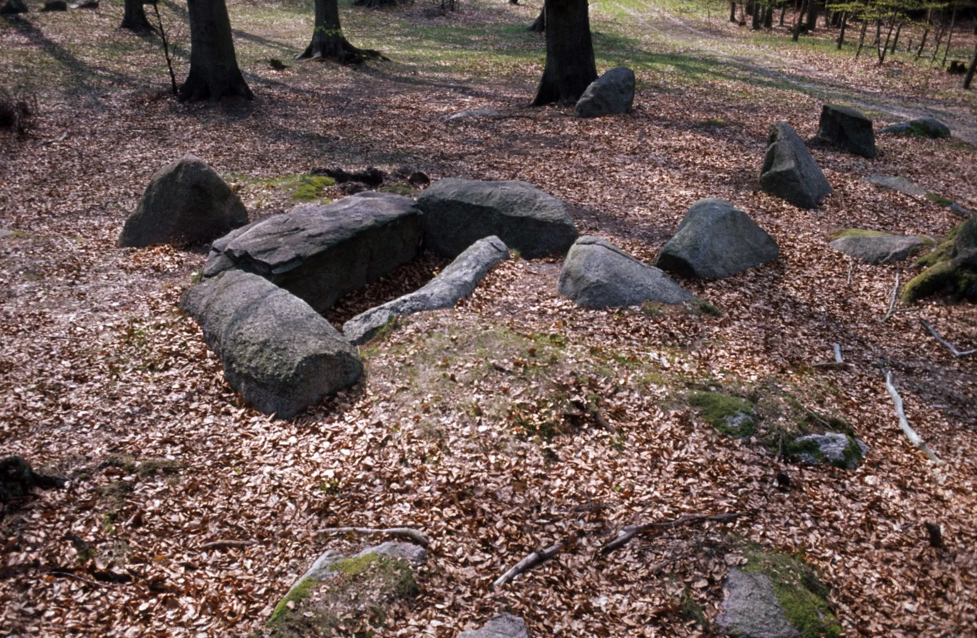 Photo showing: Megalithic tomb Barskamp 5