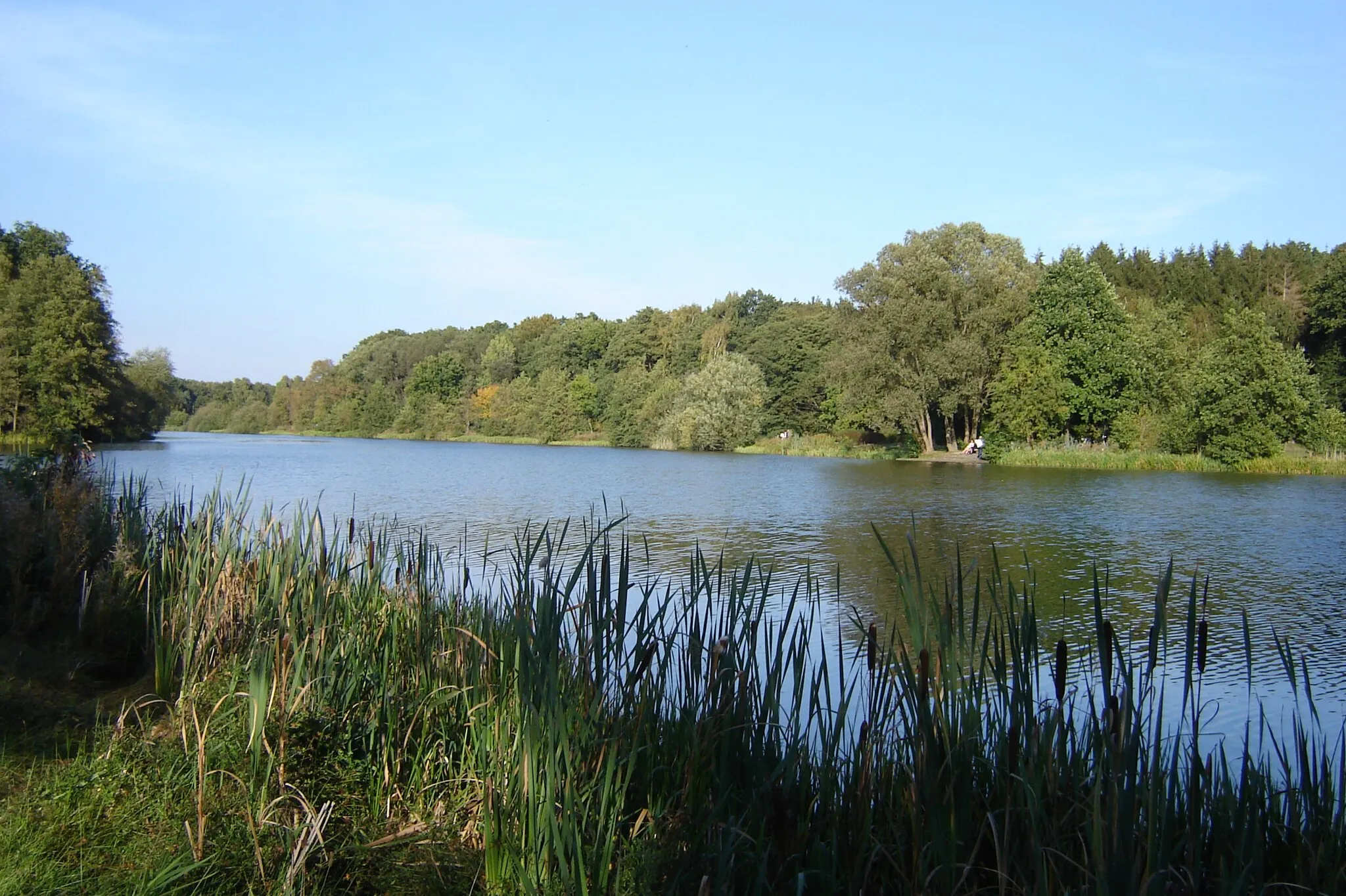 Photo showing: Heidesee in Müden (Örtze)