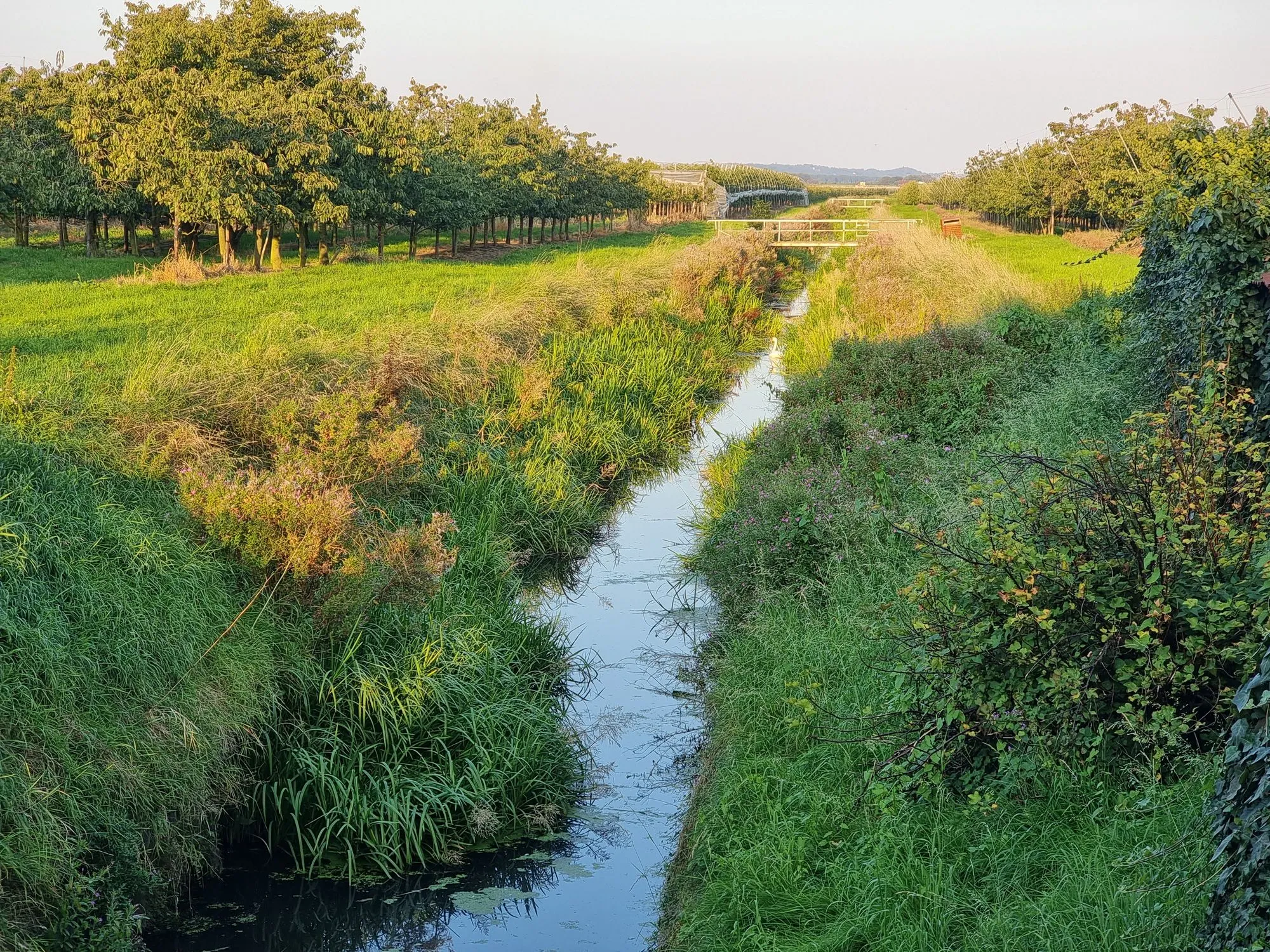 Photo showing: Hohenfelder Schöpfwerkskanal