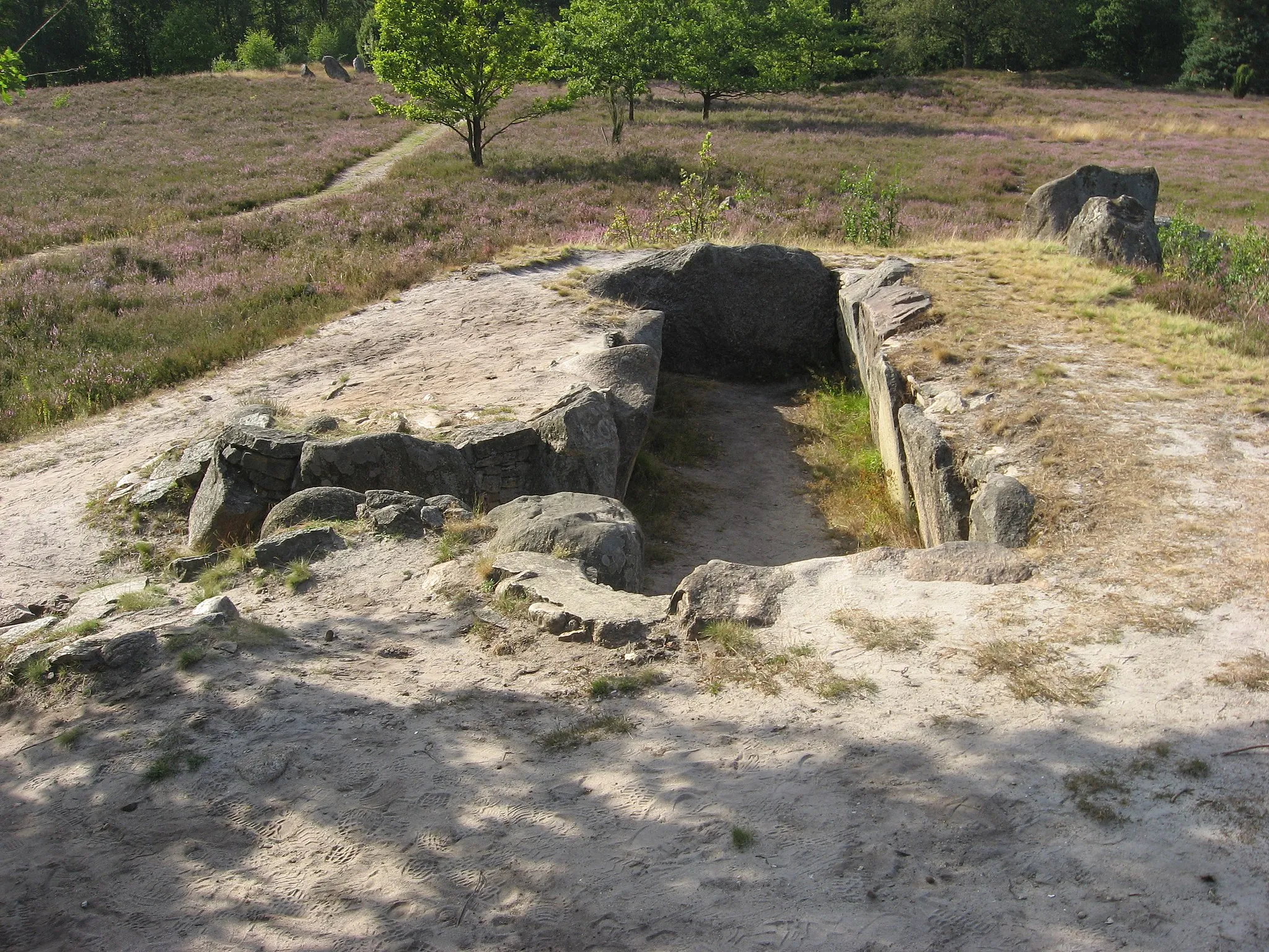 Photo showing: megalithic grave IV Oldenburger Totenstatt