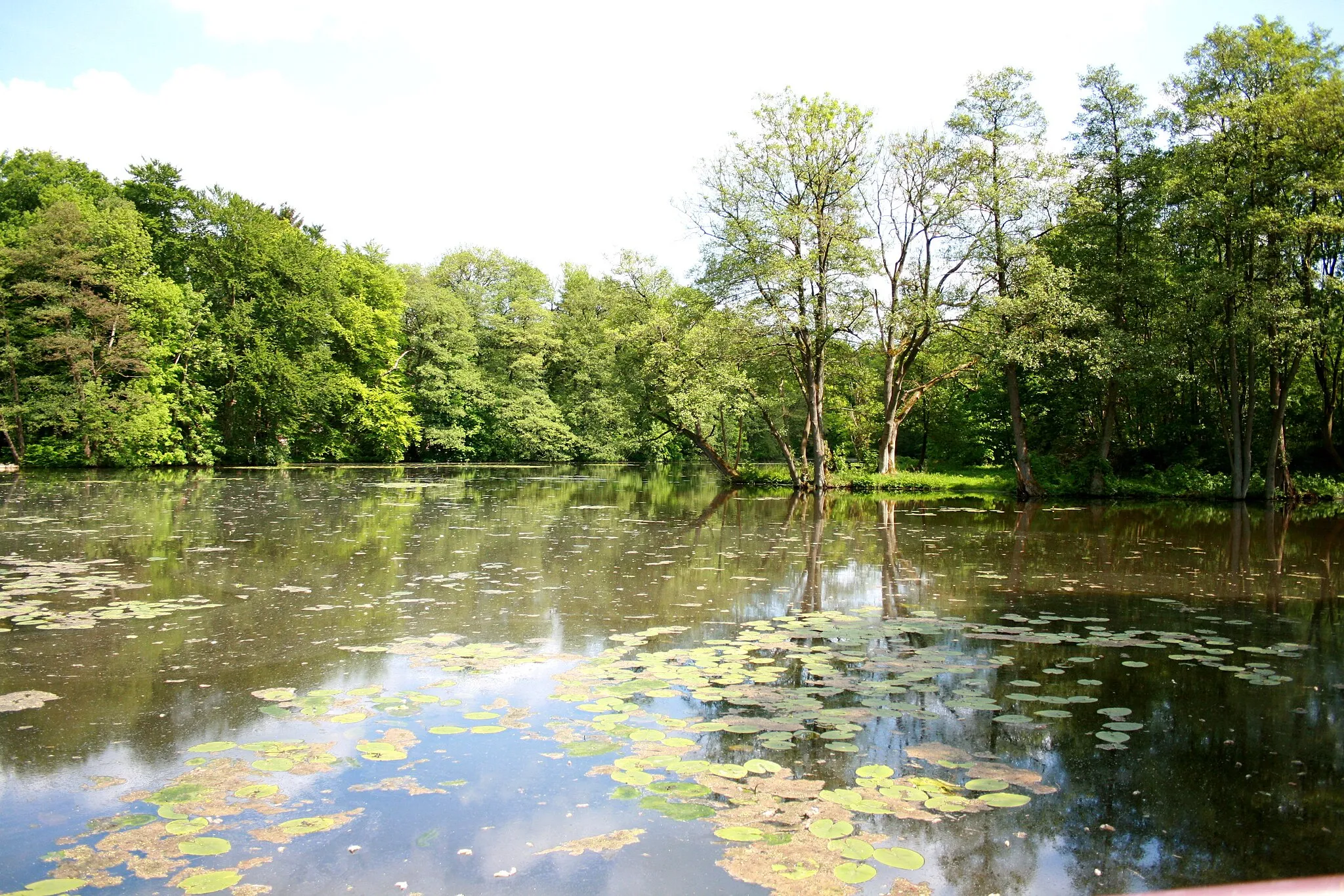 Photo showing: Mühlenteich der Veerse in Schneverdingen-Lünzen