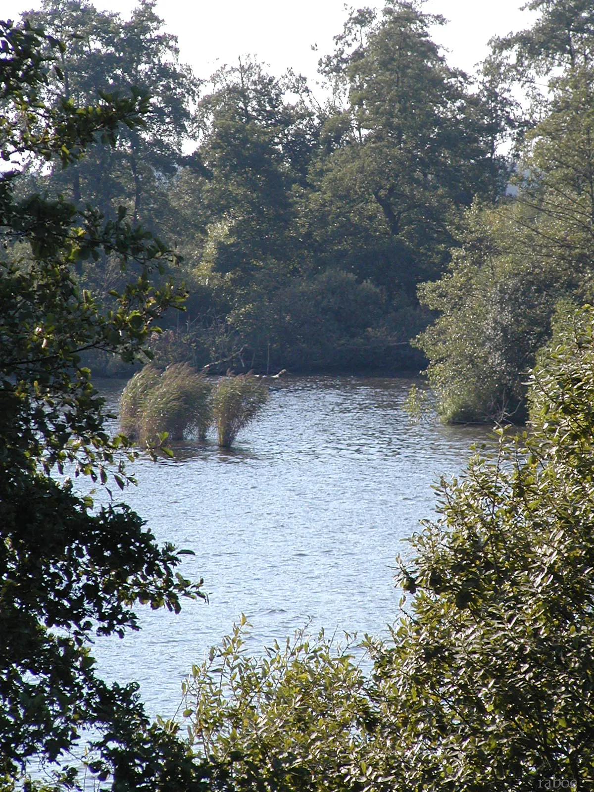 Photo showing: der Balksee, im Licht der Baume