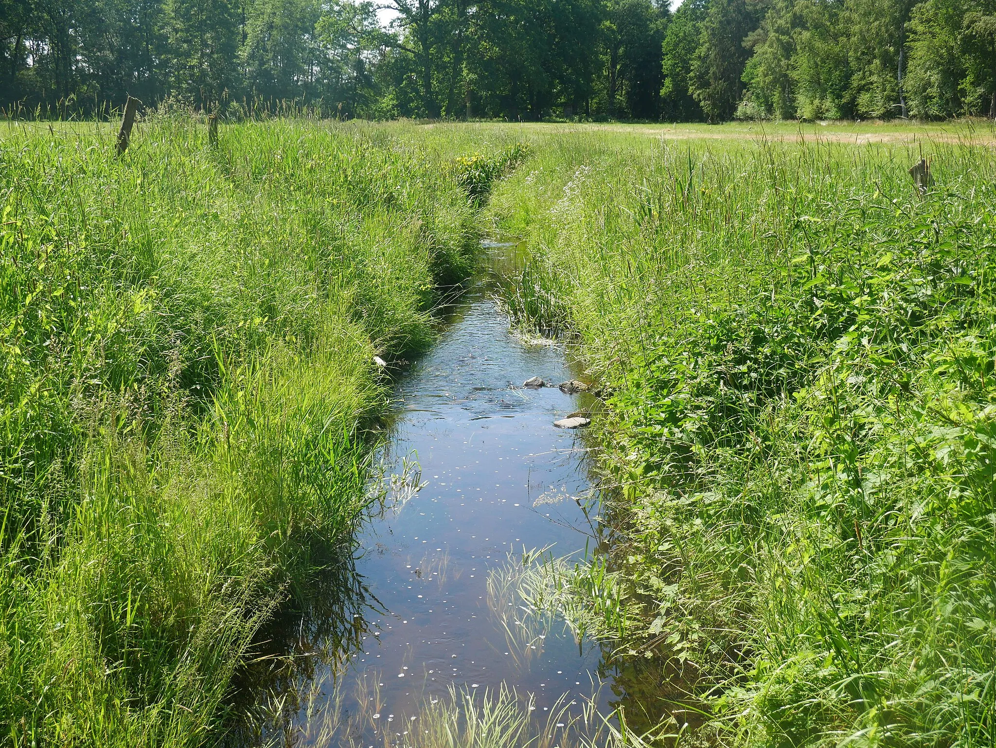 Photo showing: Die Veerse bei Zahrensen