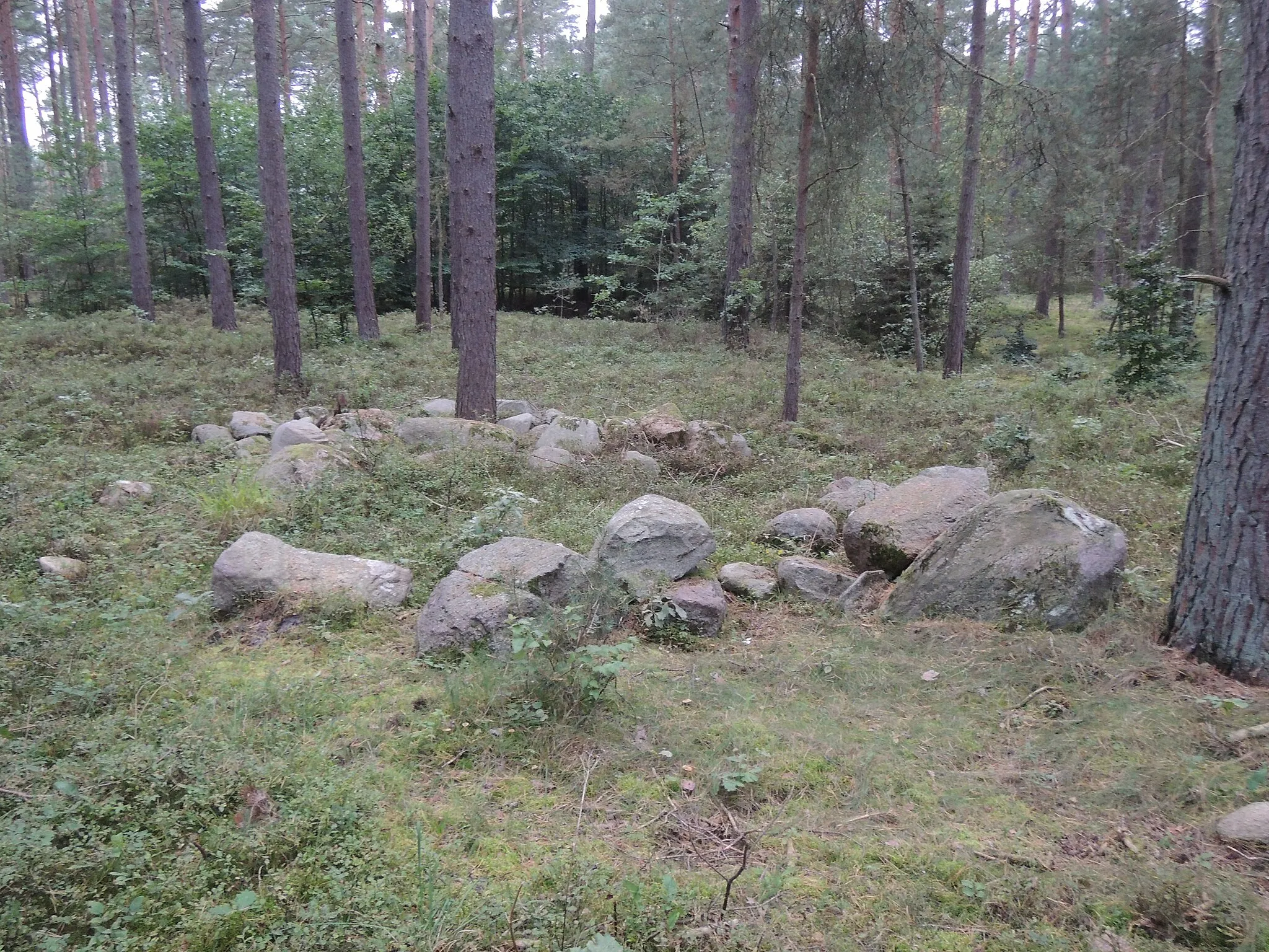 Photo showing: The megalithic tomb Bruchtorf 1
