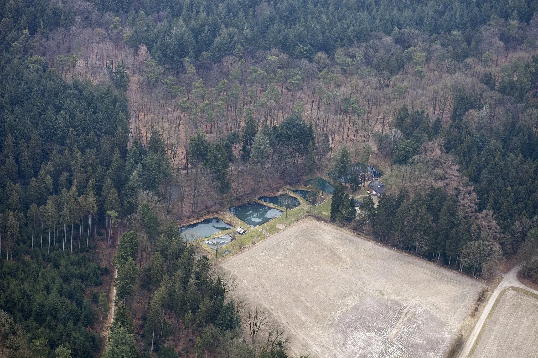 Photo showing: Luftaufnahme: Fischteiche am Waldrand zwischen den Ortsteilen Ellerbruch und Weißenmoor von der Gemeinde Wingst