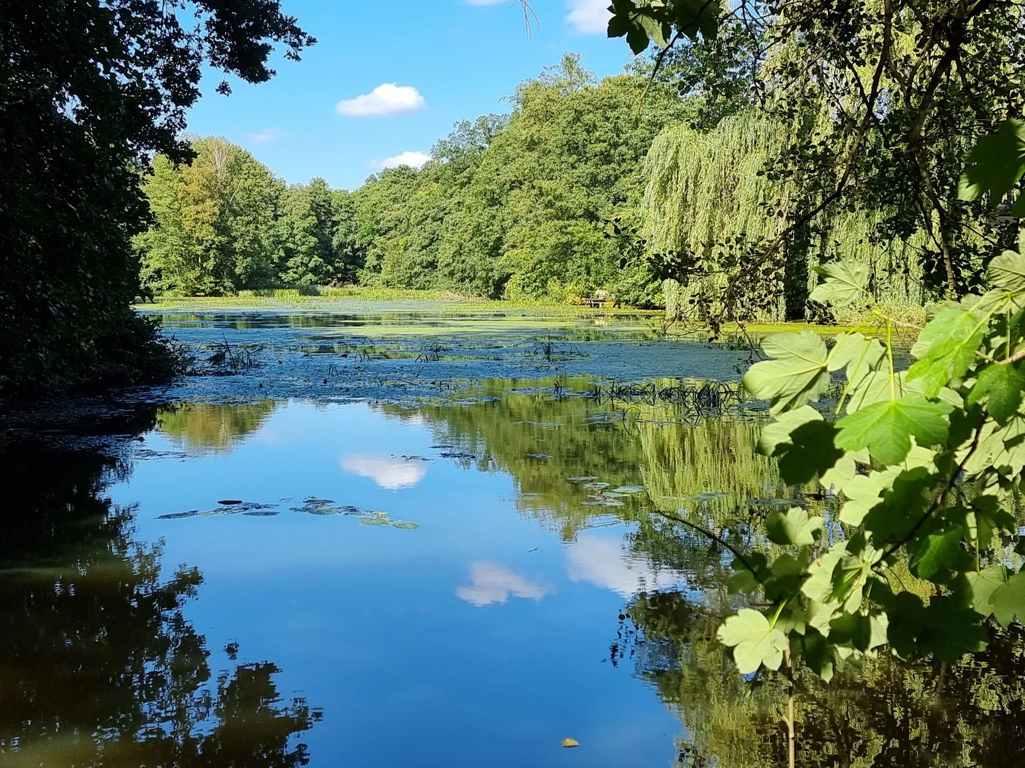 Photo showing: Kuhbacher Mühlenteich