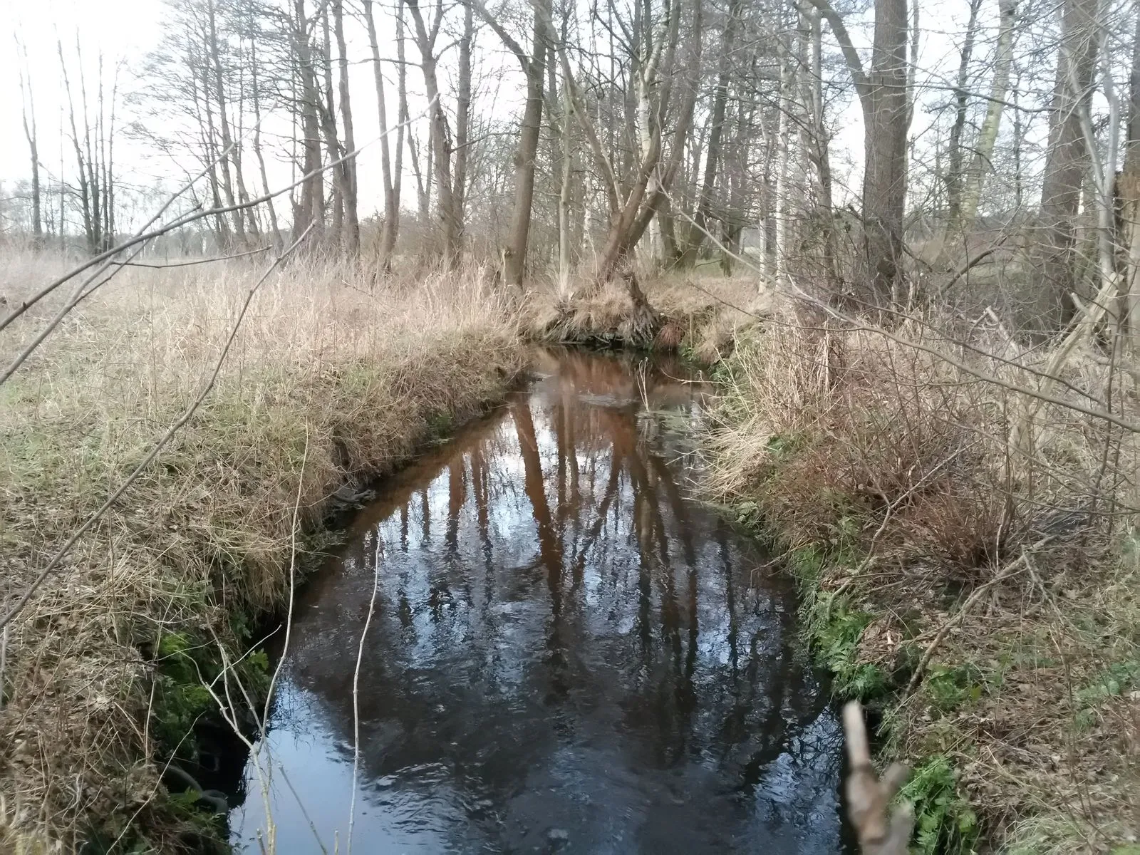 Photo showing: Dammgraben near Otter