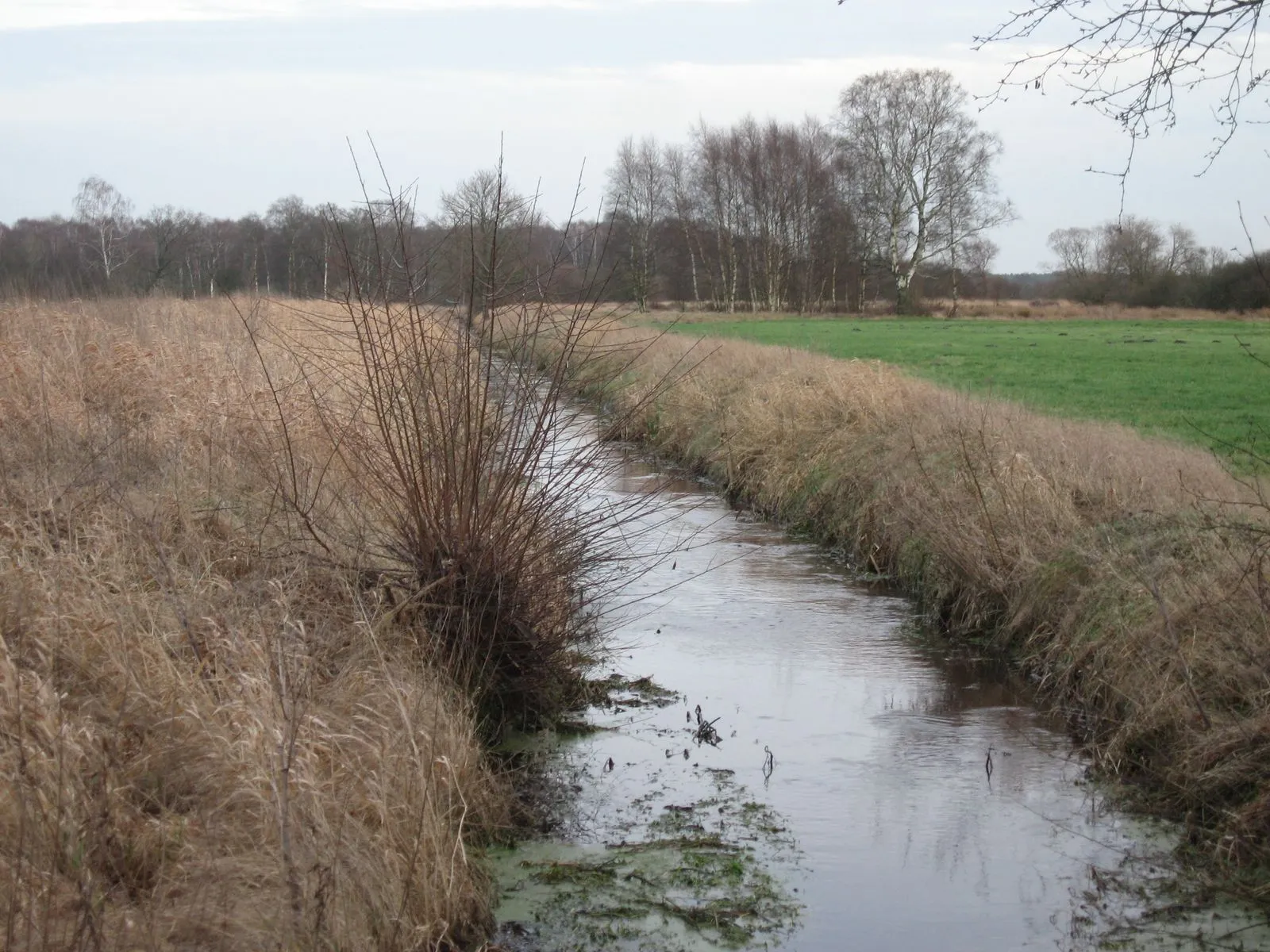 Photo showing: Jilsbach near Otter