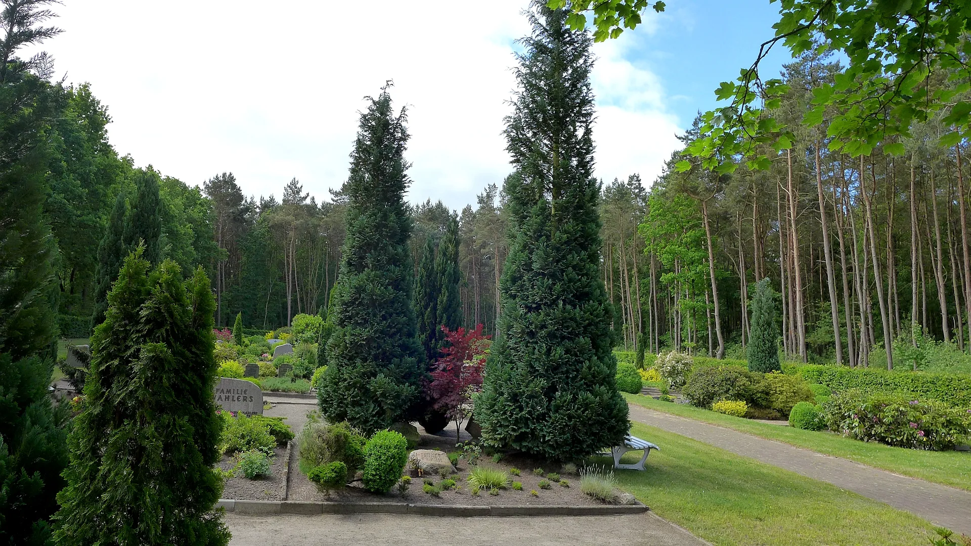 Photo showing: Waldfriedhof von Abbendorf bei Scheeßel im Juni 2015.