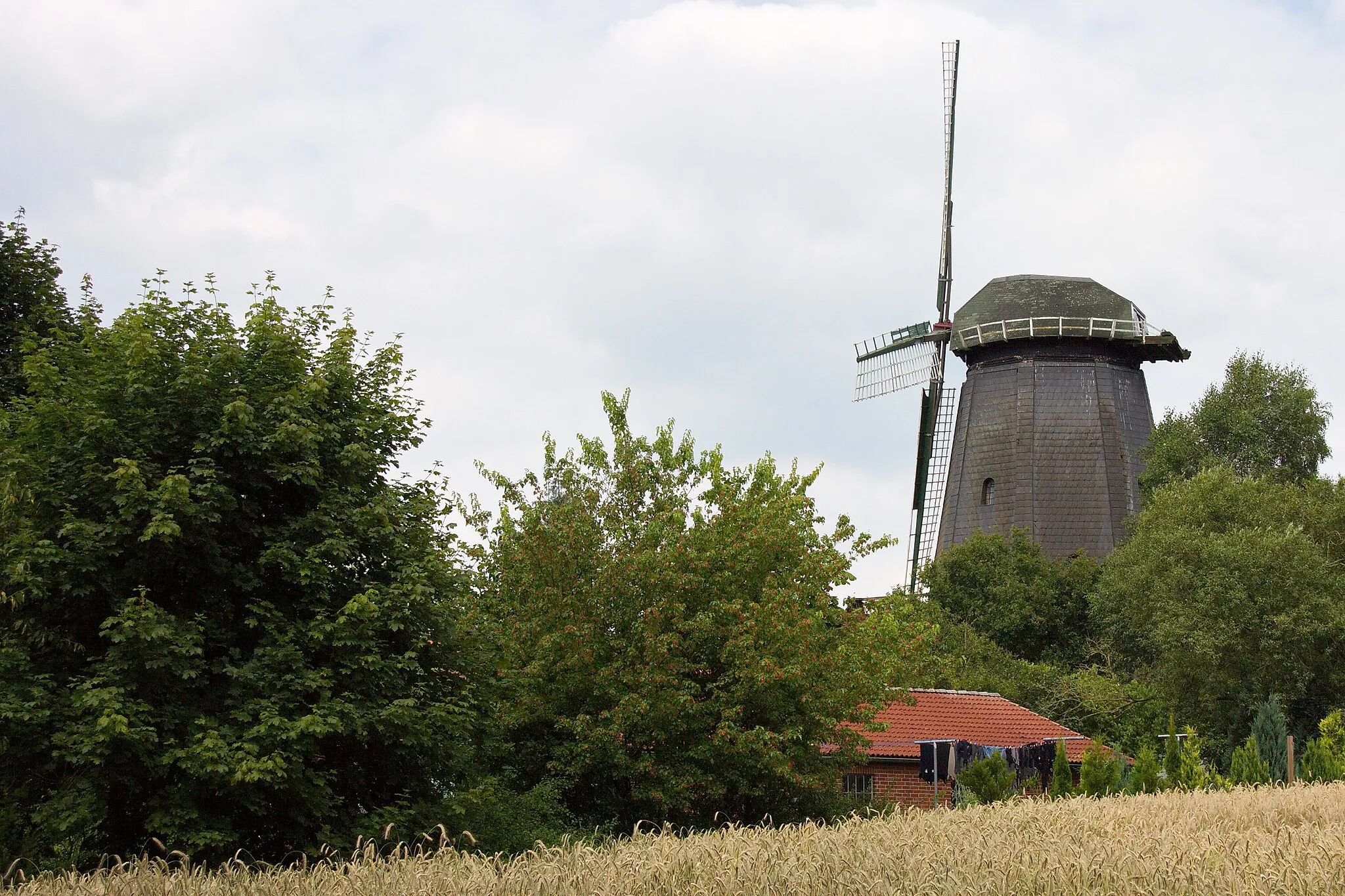Photo showing: Windmühle in Holtum Geest (Kirchlinteln)