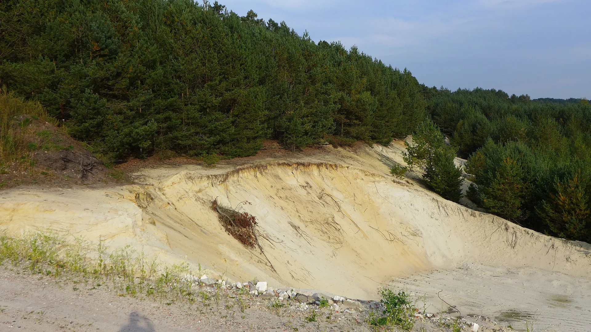 Photo showing: Sandgrube in Muster-Breloh, Niedersachsen.