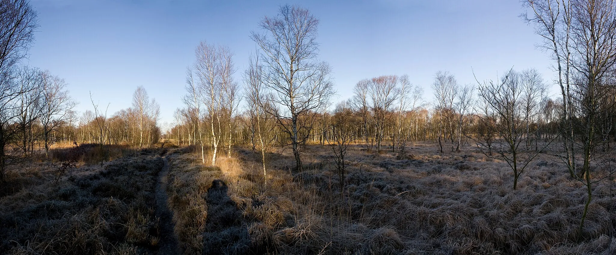 Photo showing: View in the wintry Ahlenmoor, a hill moor in northern Lower Saxony, Germany.