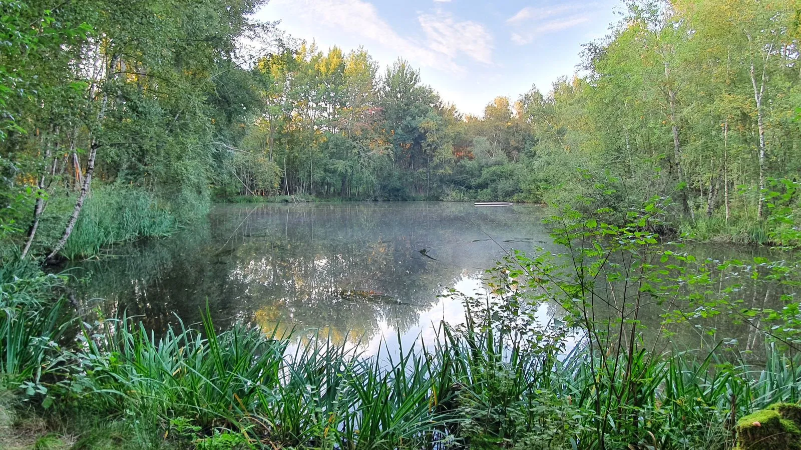 Photo showing: Fishpond at the Speckmoorgraben