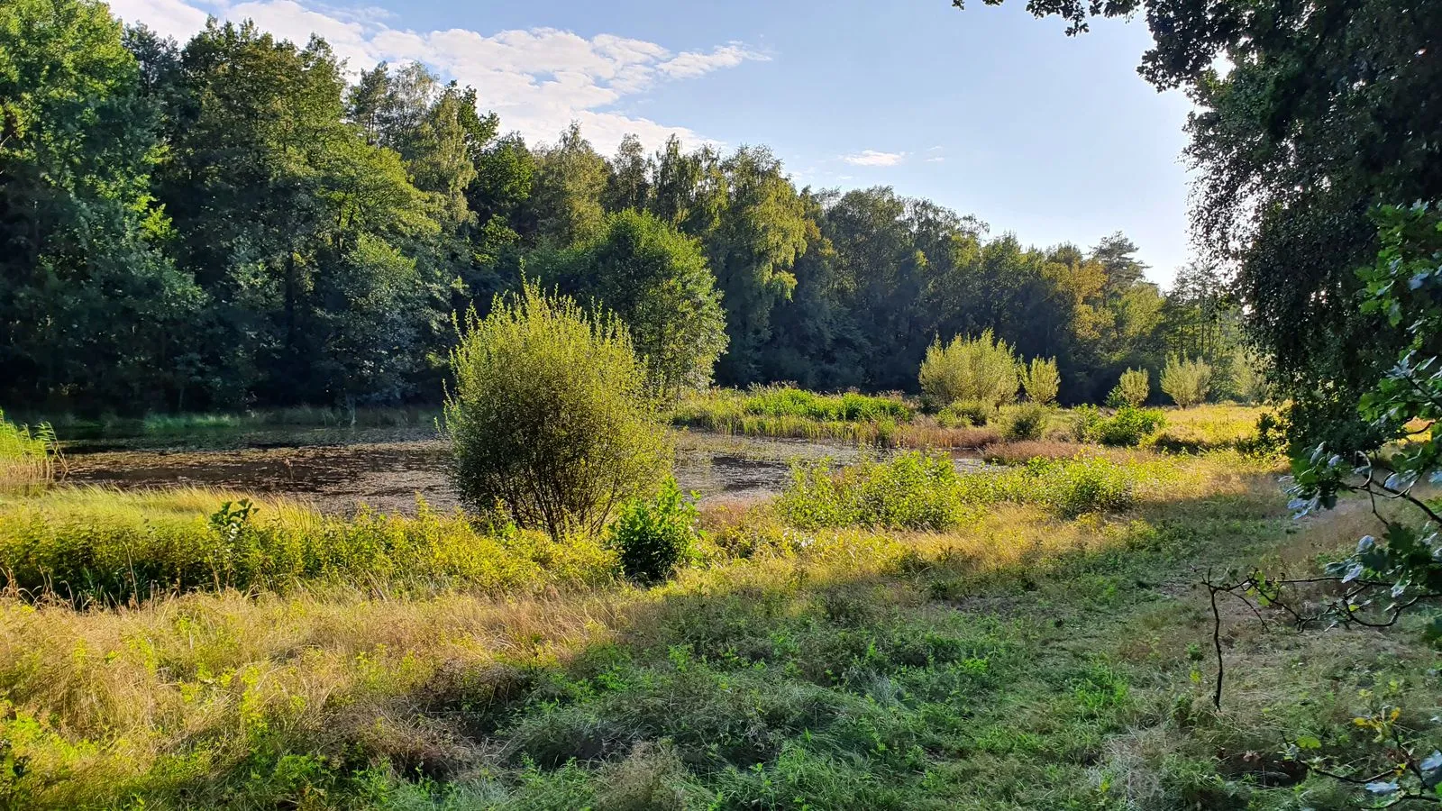 Photo showing: Fish ponds on the Schmokbach