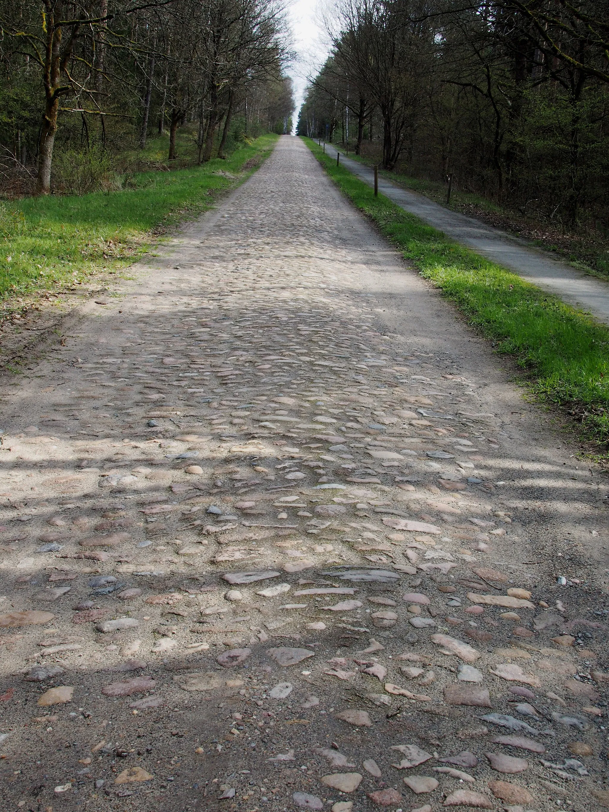 Photo showing: Denkmalgeschützter Weg „Siedenholzbahn“, Unterlüß (Gemeinde Südheide)