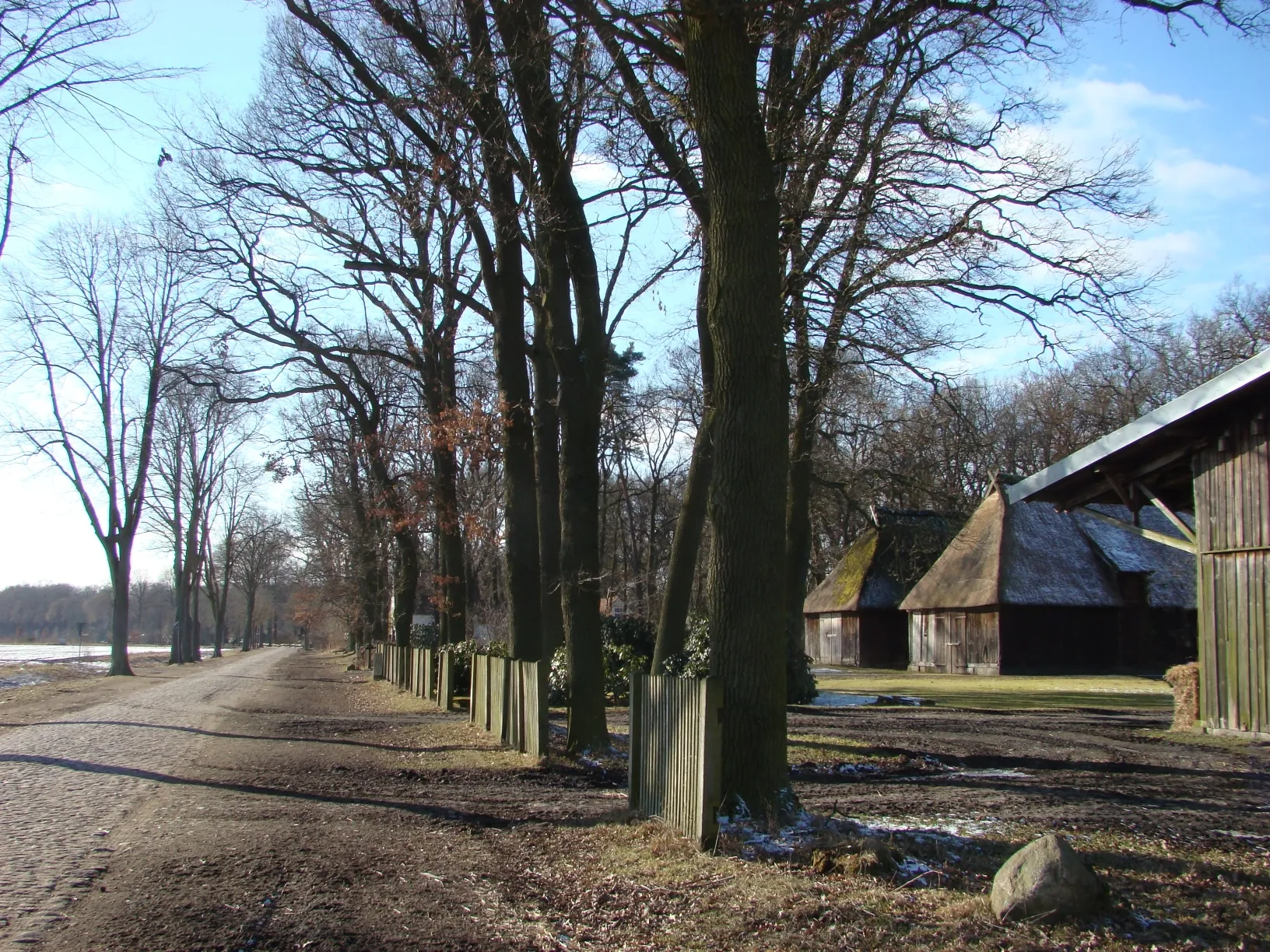 Photo showing: Dorfstraße in Schmarbeck (Naturpark Südheide) in Kopfsteinpflaster, mit alten Eichen und zwei Heidschnuckenställen