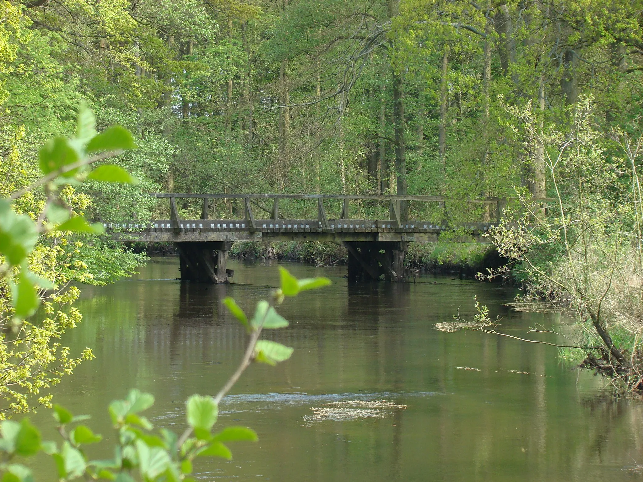 Photo showing: Holzbrücke über die Örtze bei Feuerschützenbostel (Stadt Bergen)