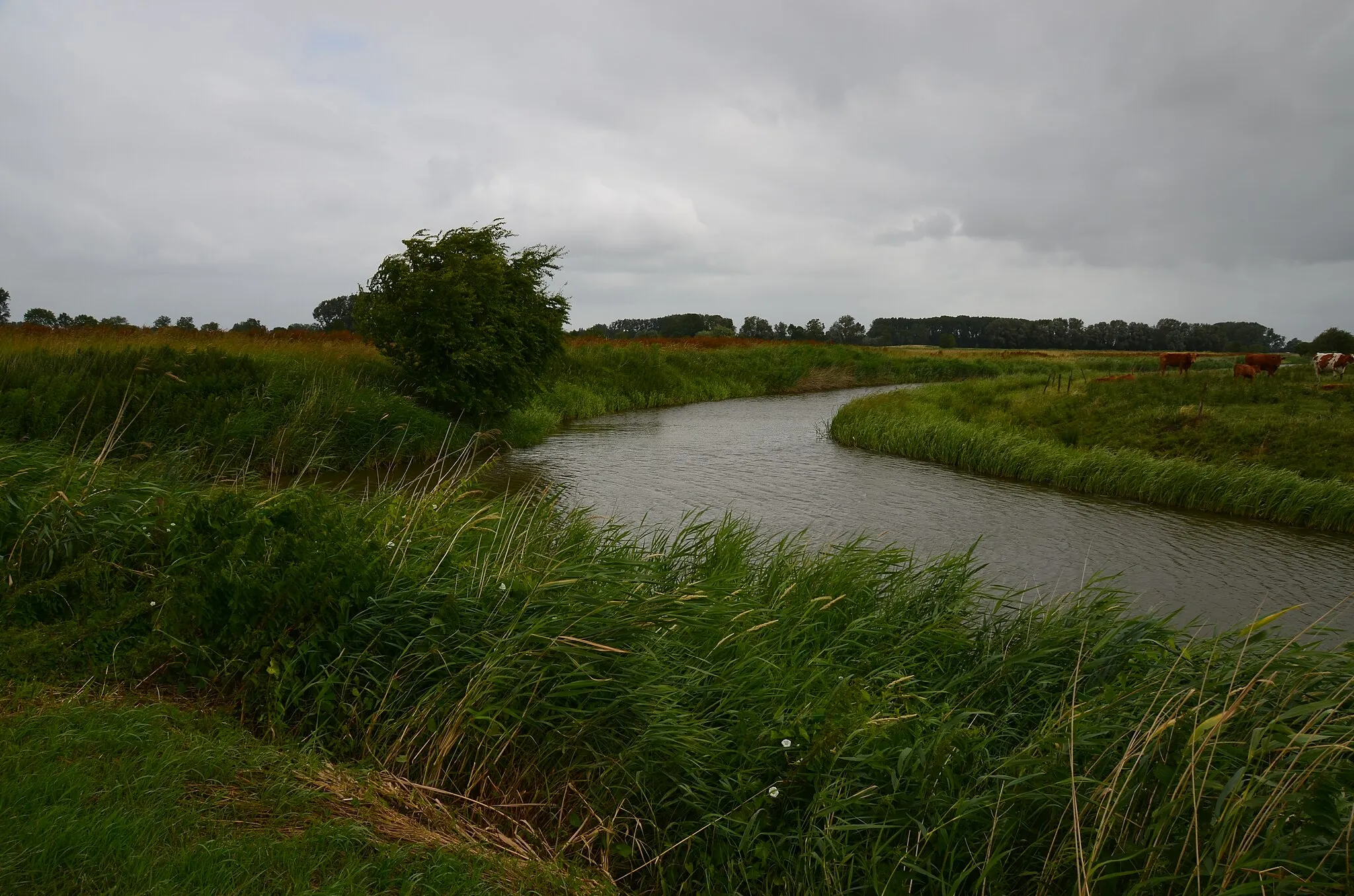 Photo showing: Die Krautsander Binnenelbe auf Krautsand; links die Einmündung der Großen Räthe