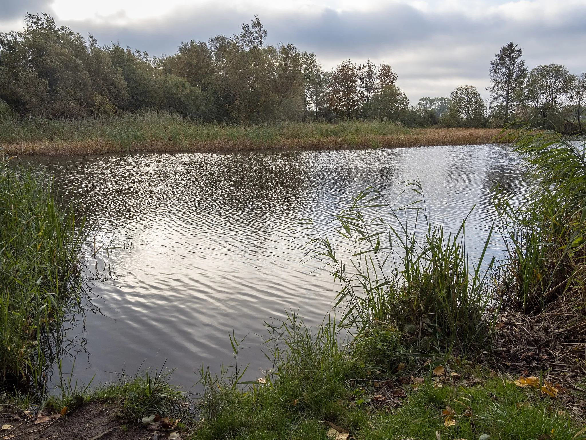 Photo showing: Alte Aller bei Etelsen (-Steinfeld): hier war früher mal ein Badeplatz.