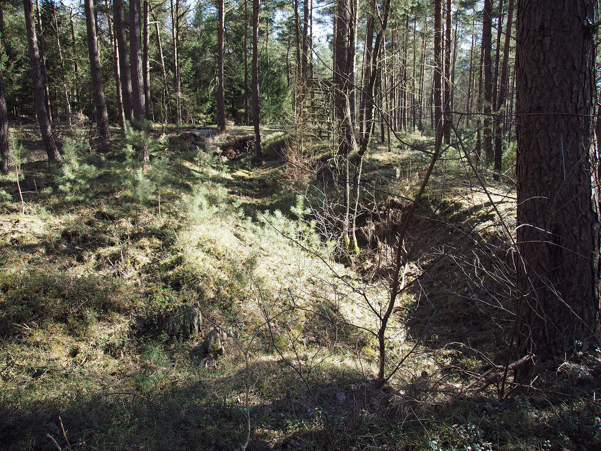 Photo showing: Gräben auf dem Gelände des ehemaligen KZ-Außenlagers Unterlüß