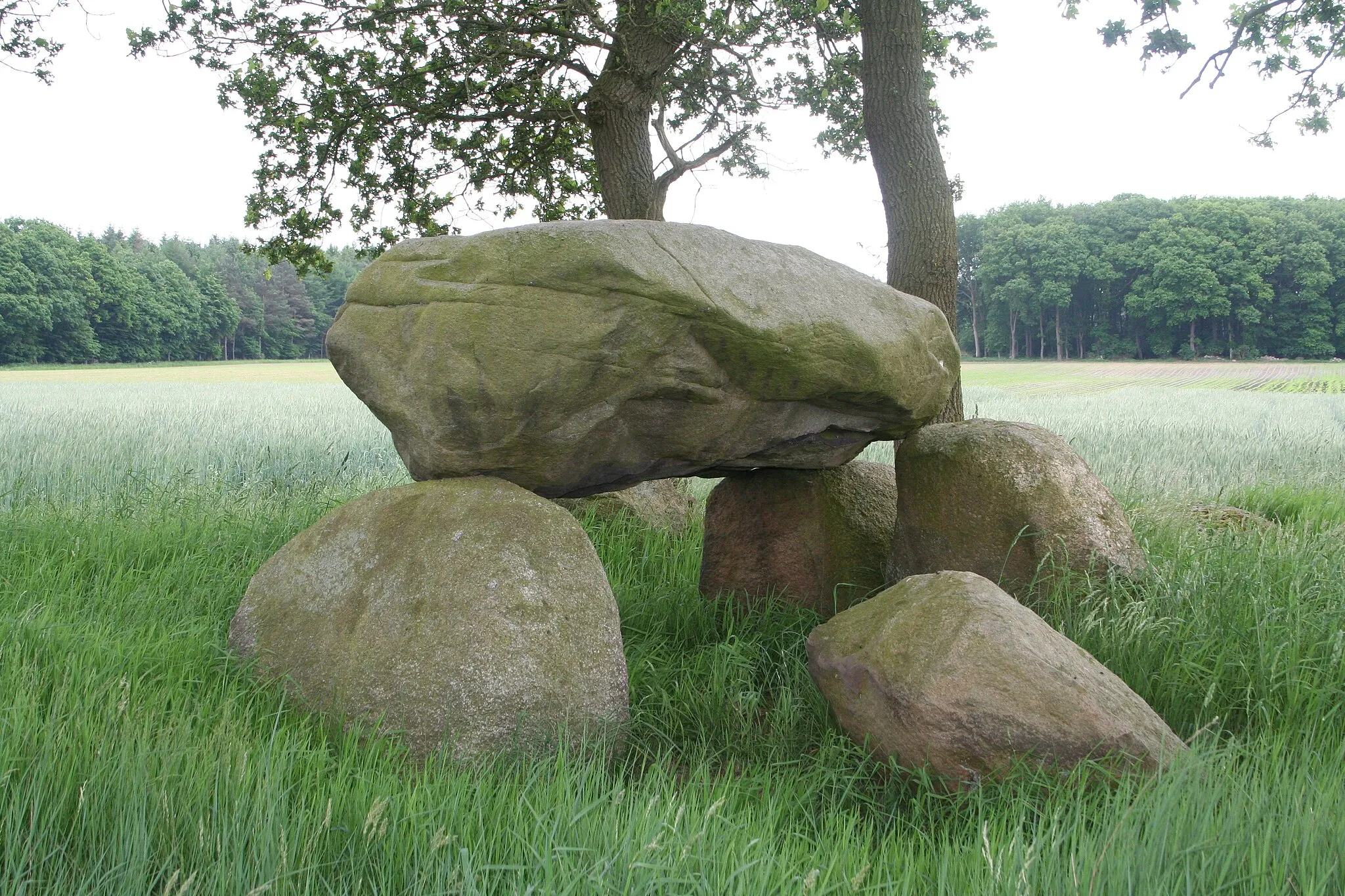 Photo showing: Megalithic tomb Großenhain