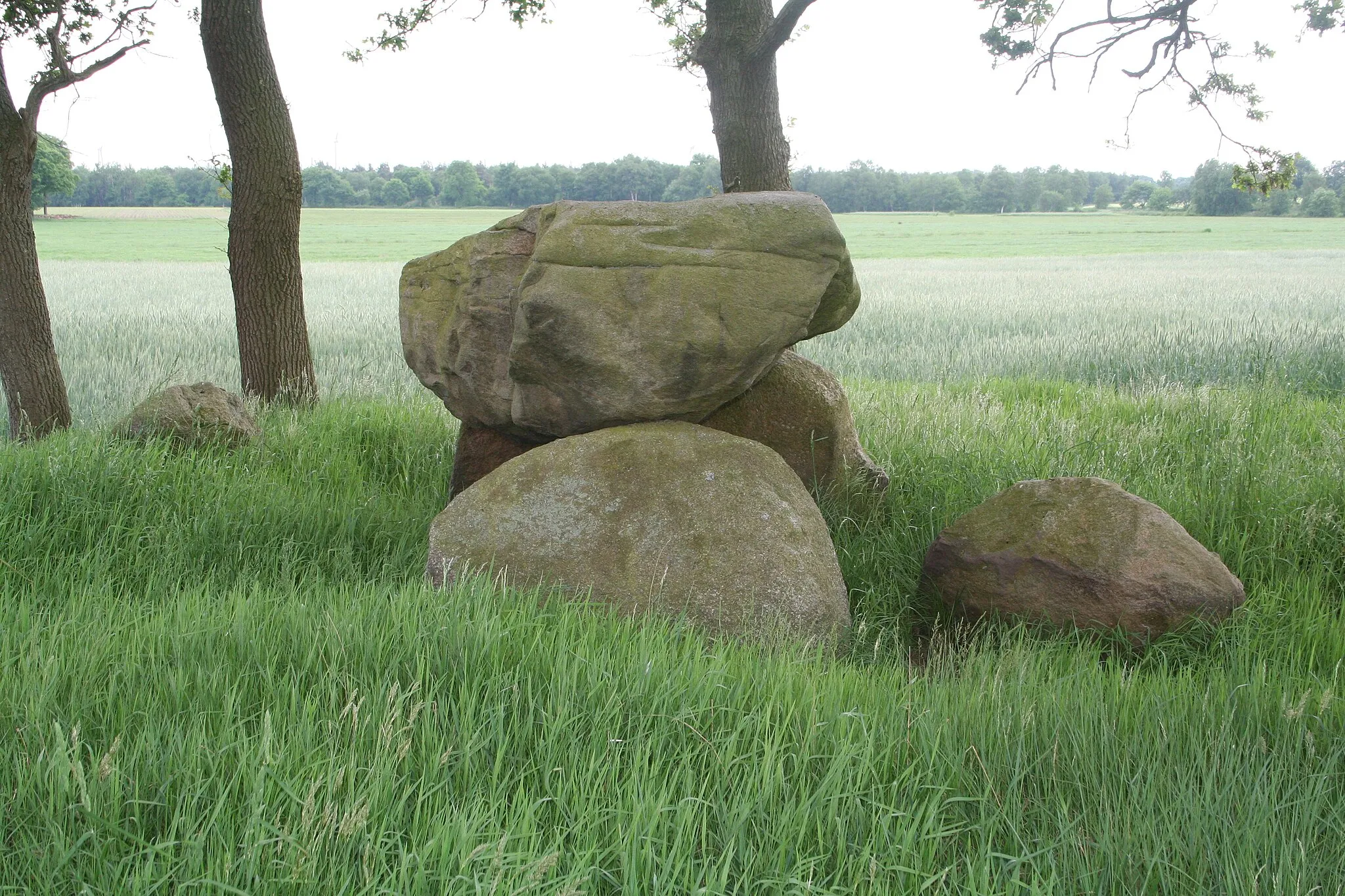 Photo showing: Megalithic tomb Großenhain