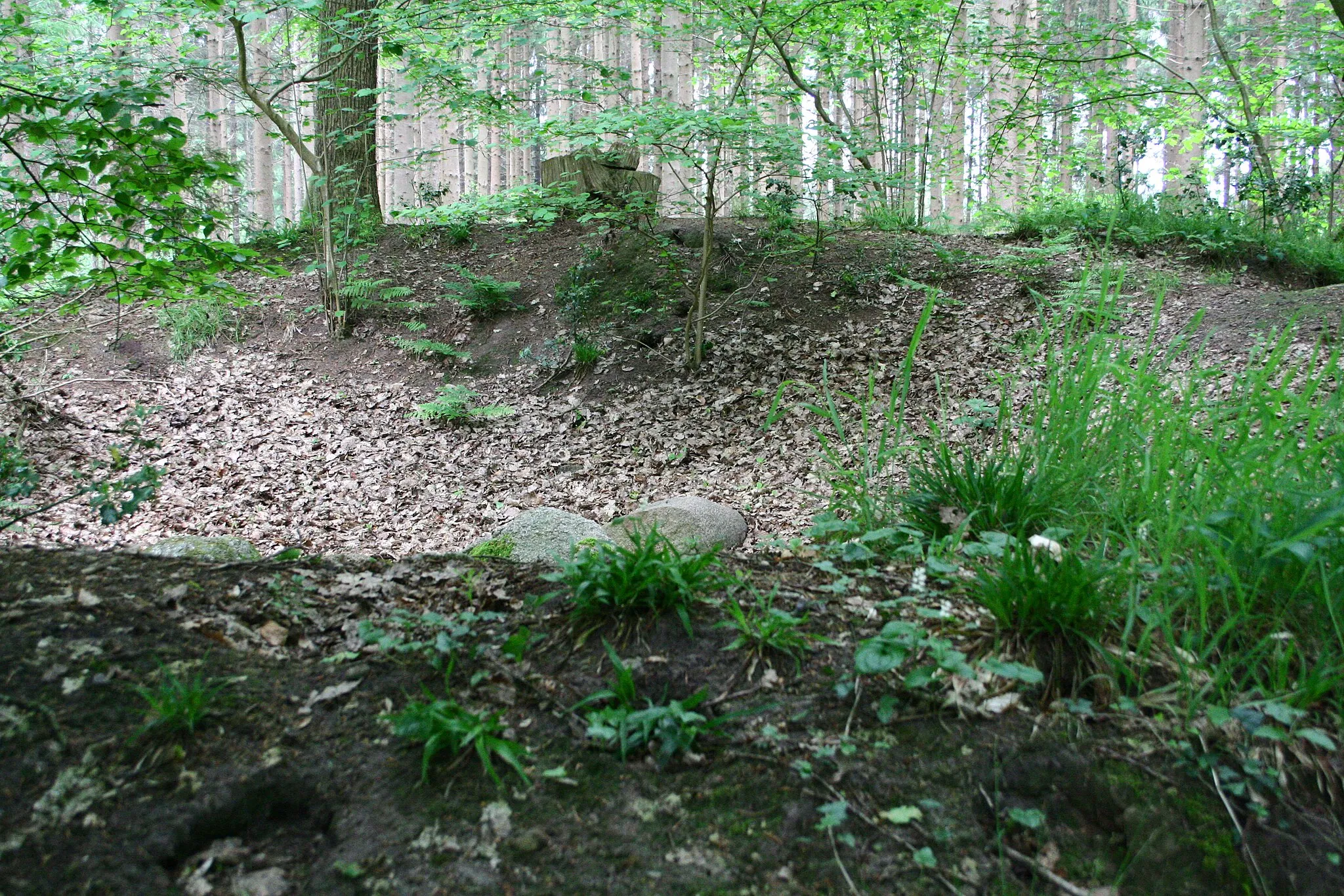 Photo showing: Megalithic tomb Wehden