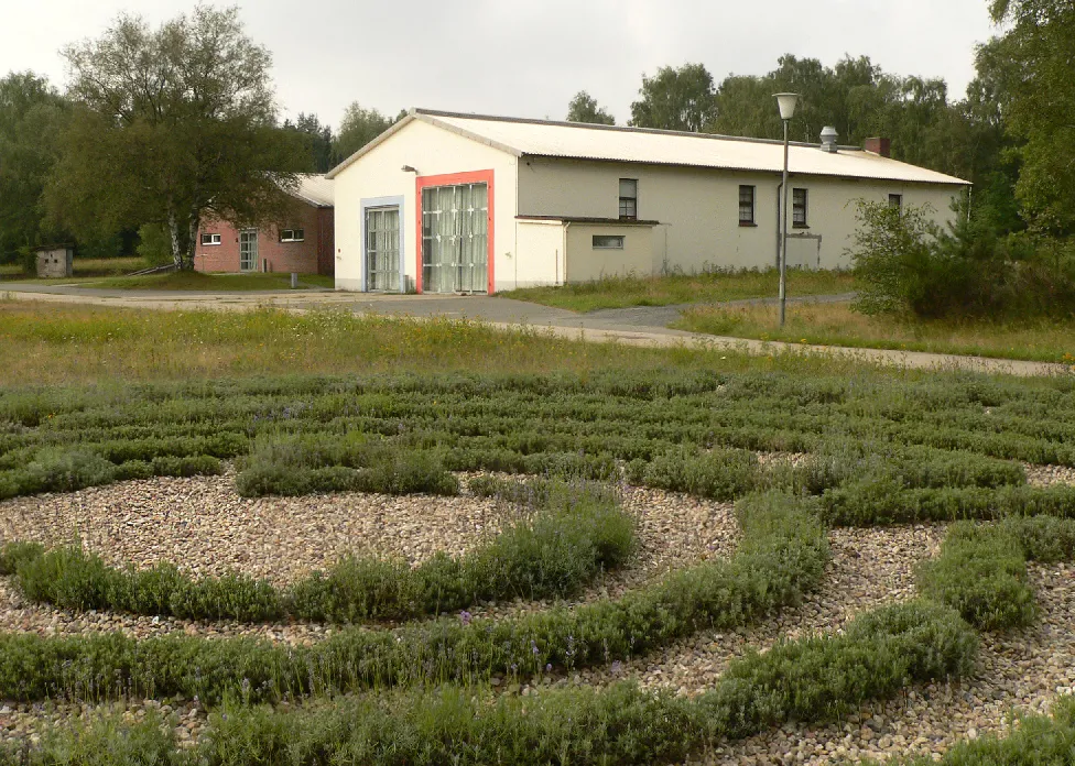 Photo showing: Lavendellabyrinth im Camp Reinsehlen