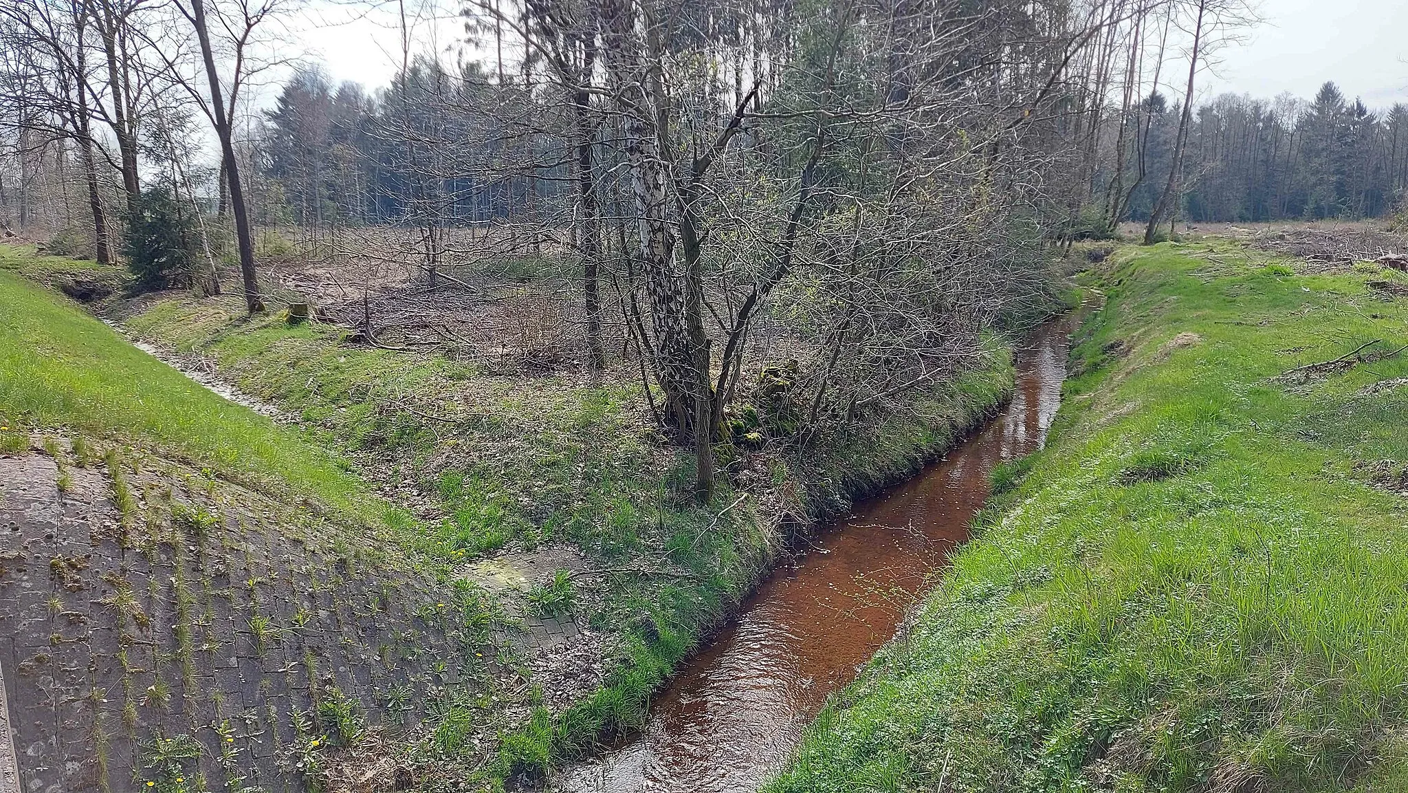 Photo showing: Die Wietze nahe ihrer Quelle bei Moide (Stadt Soltau), Niedersachsen, Germany