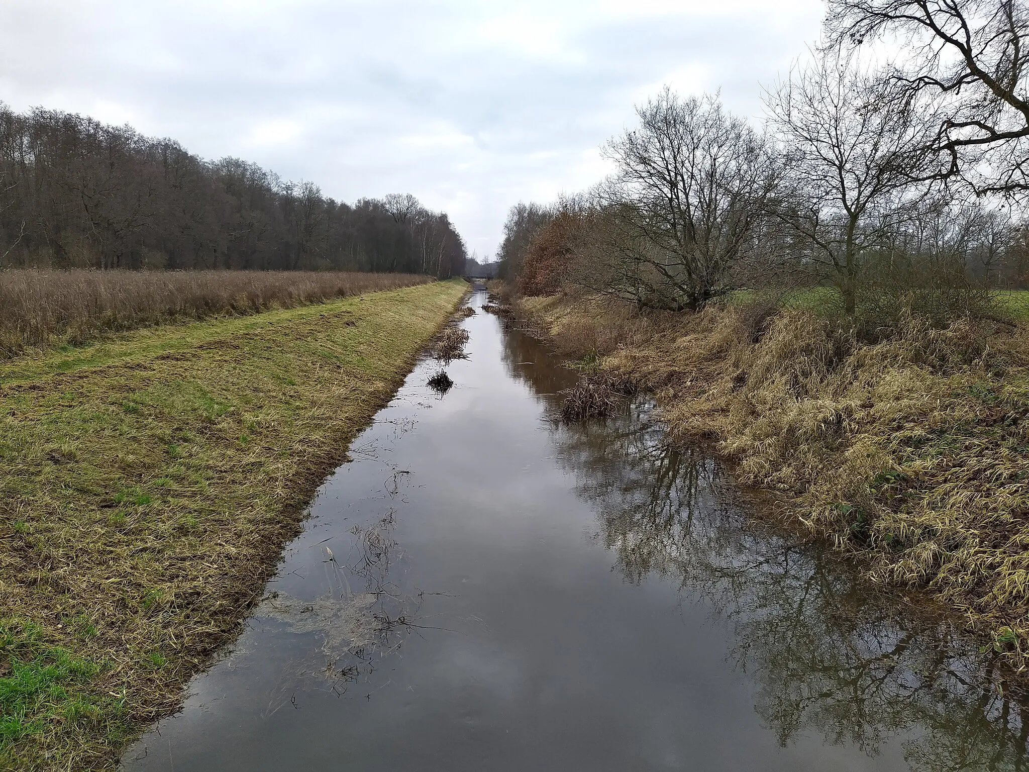 Photo showing: Neue Aue bei Ehlershausen, Blick südwärts